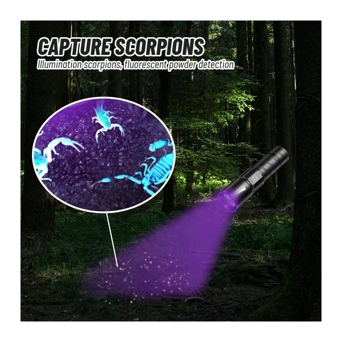 BALDR LED-UV-Taschenlampe Typ C mit Zoom und Wiederaufladefunktion, 395 nm violettes Licht zur Detektion von Geldscheinen, Tintentrocknung und UV-Ölhärtung - Bild 6