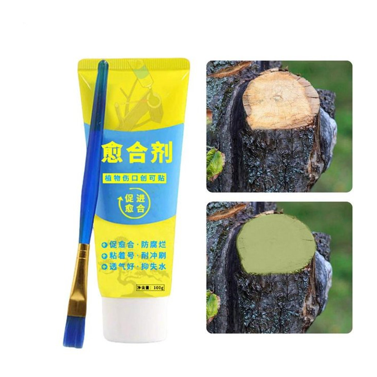 Baumwunde Bonsai Cut Paste Pflanzensiegel zur Wiederherstellung und zum Nachwachsen mit Pinsel, 100g - Bild 1