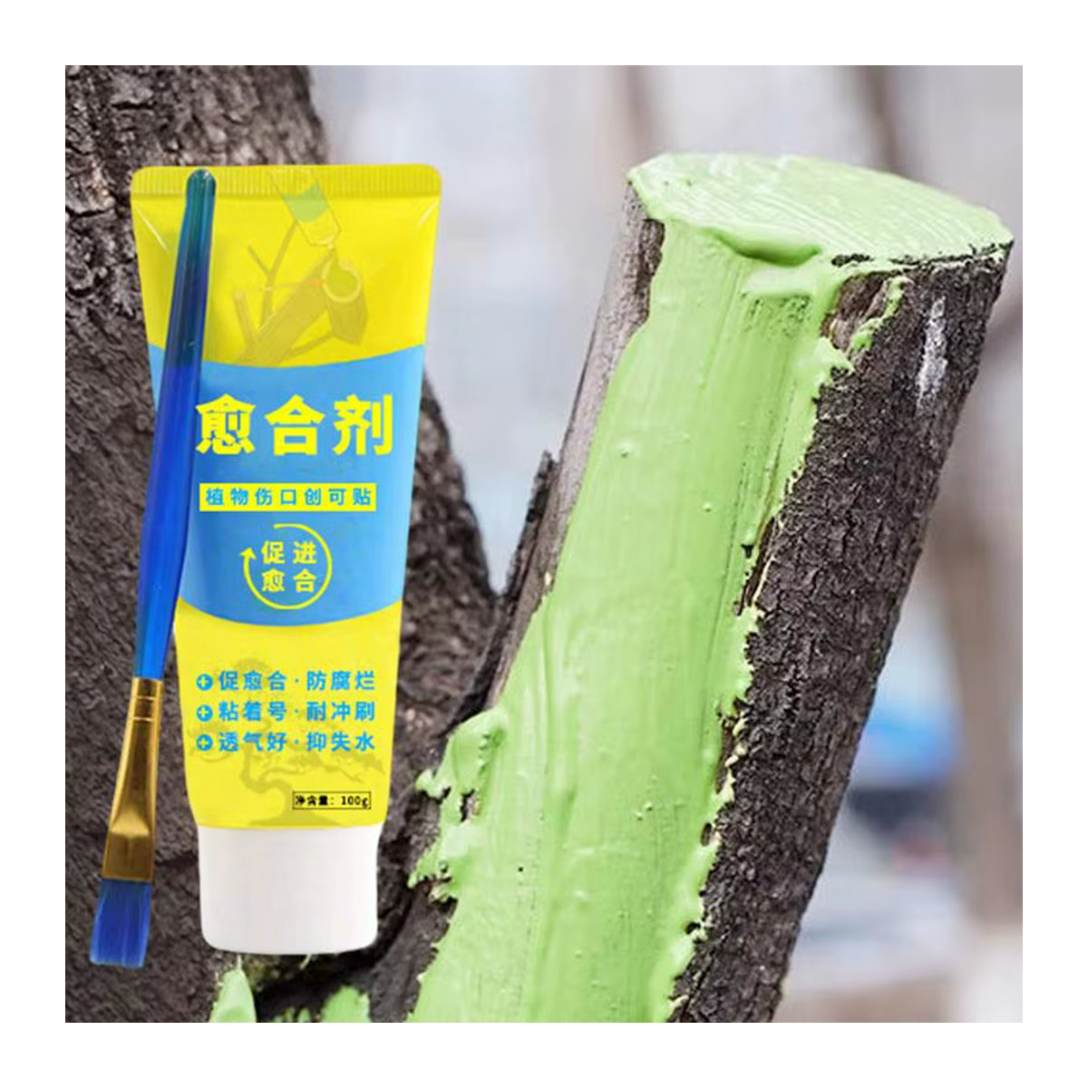 Baumwunde Bonsai Cut Paste Pflanzensiegel zur Wiederherstellung und zum Nachwachsen mit Pinsel, 100g - Bild 2