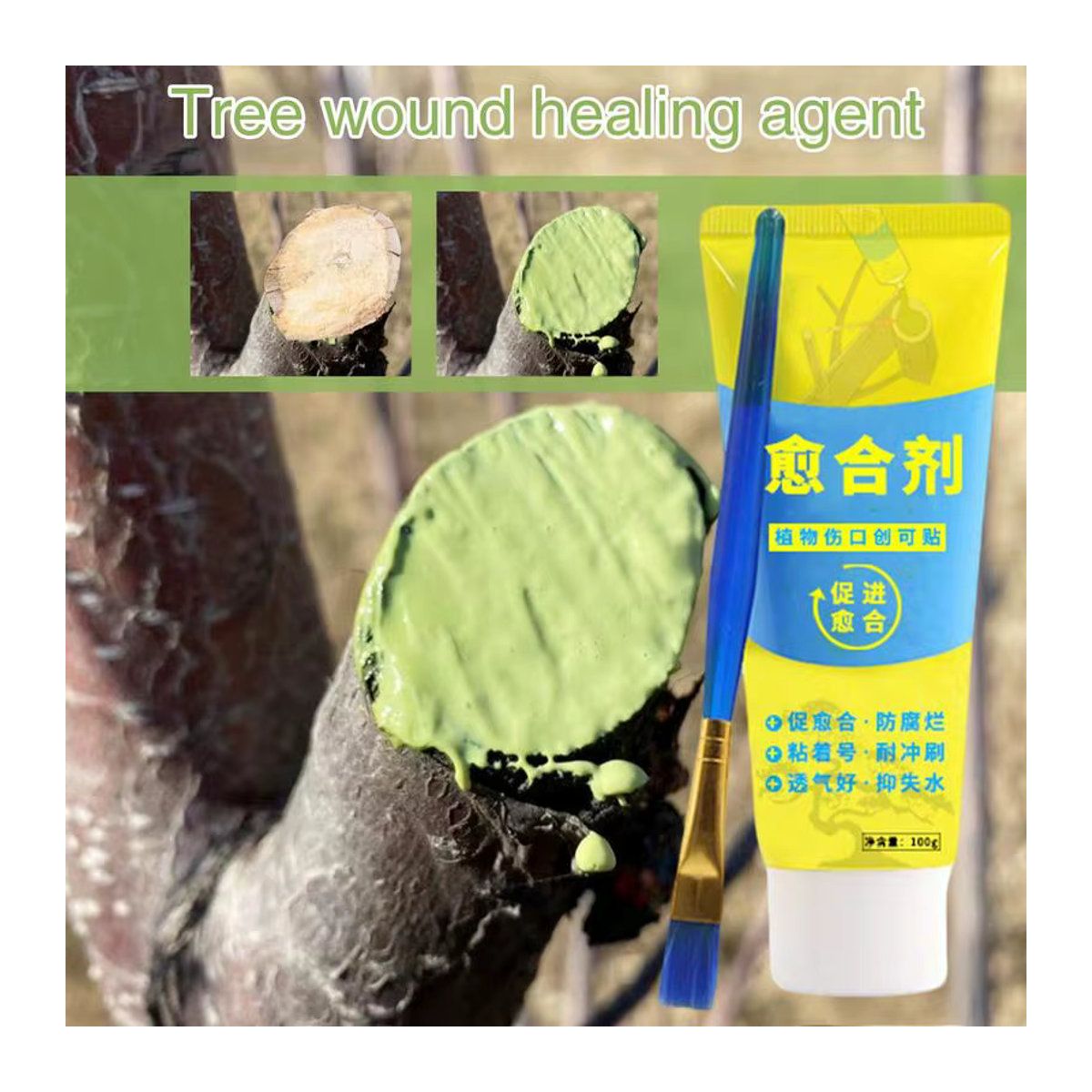 Baumwunde Bonsai Cut Paste Pflanzensiegel zur Wiederherstellung und zum Nachwachsen mit Pinsel, 100g - Bild 3