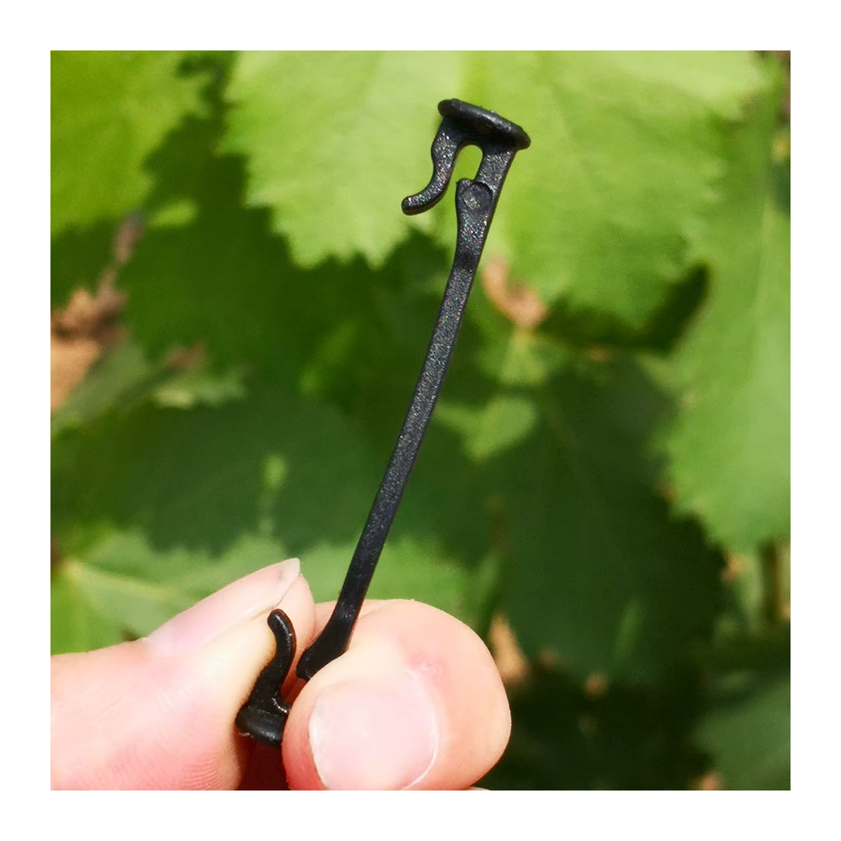 Befestigungshaken und Bindeschnallen für Gartenpflanzen und landwirtschaftliche Pflanzenreben zur Befestigung von Blaubeer- und Traubenpflanzen - Bild 4