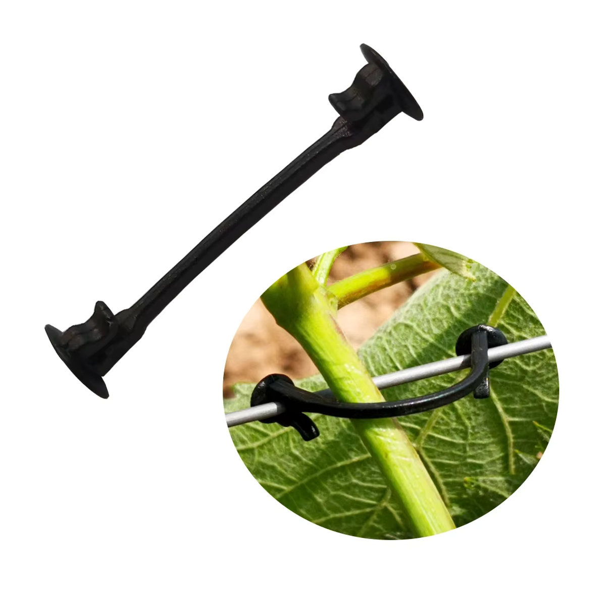 Befestigungshaken und Bindeschnallen für Gartenpflanzen und landwirtschaftliche Pflanzenreben zur Befestigung von Blaubeer- und Traubenpflanzen - Bild 6