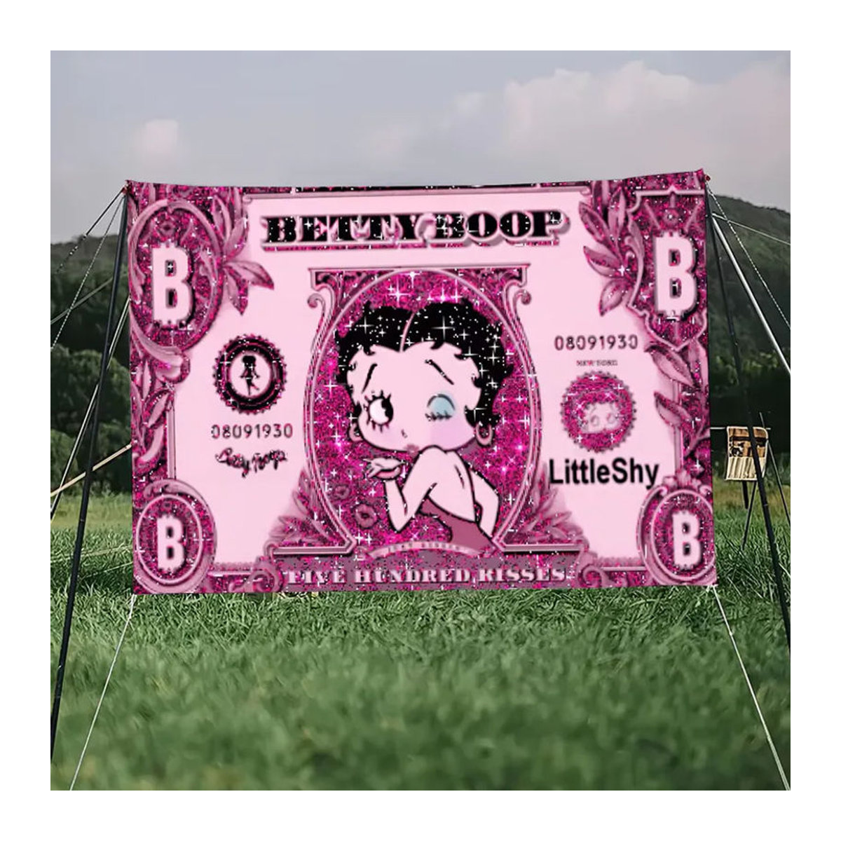 Betty Boop Cartoon Wimpel Dekoration aus Textil, mehrfarbig, B/H: 60 x 40 cm - Bild 6