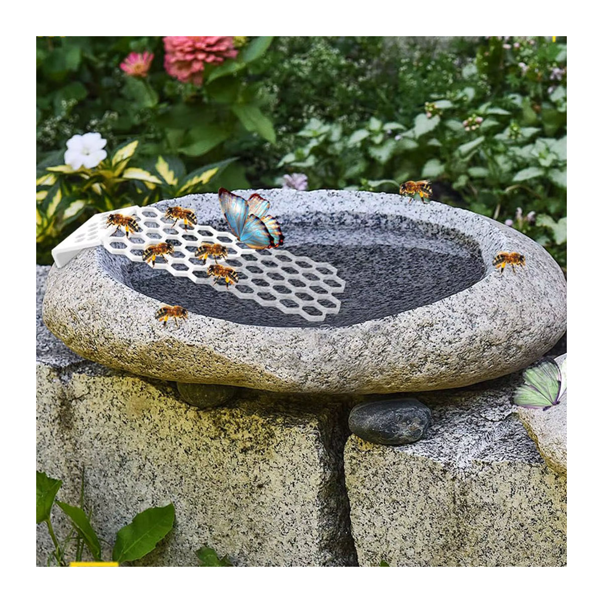 Bienen Tränke mit Schwimmender Leiter für Bestäuber als Wasserstelle - Bild 5