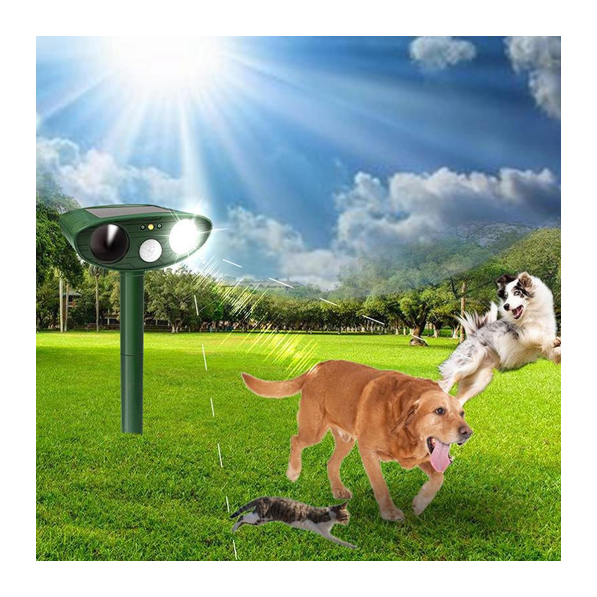 Binchi Garden Solarbetriebener Tiervertreiber für Garten, Hunde, Katzen, Eichhörnchen und Waschbären, Farbe Grün - Bild 6