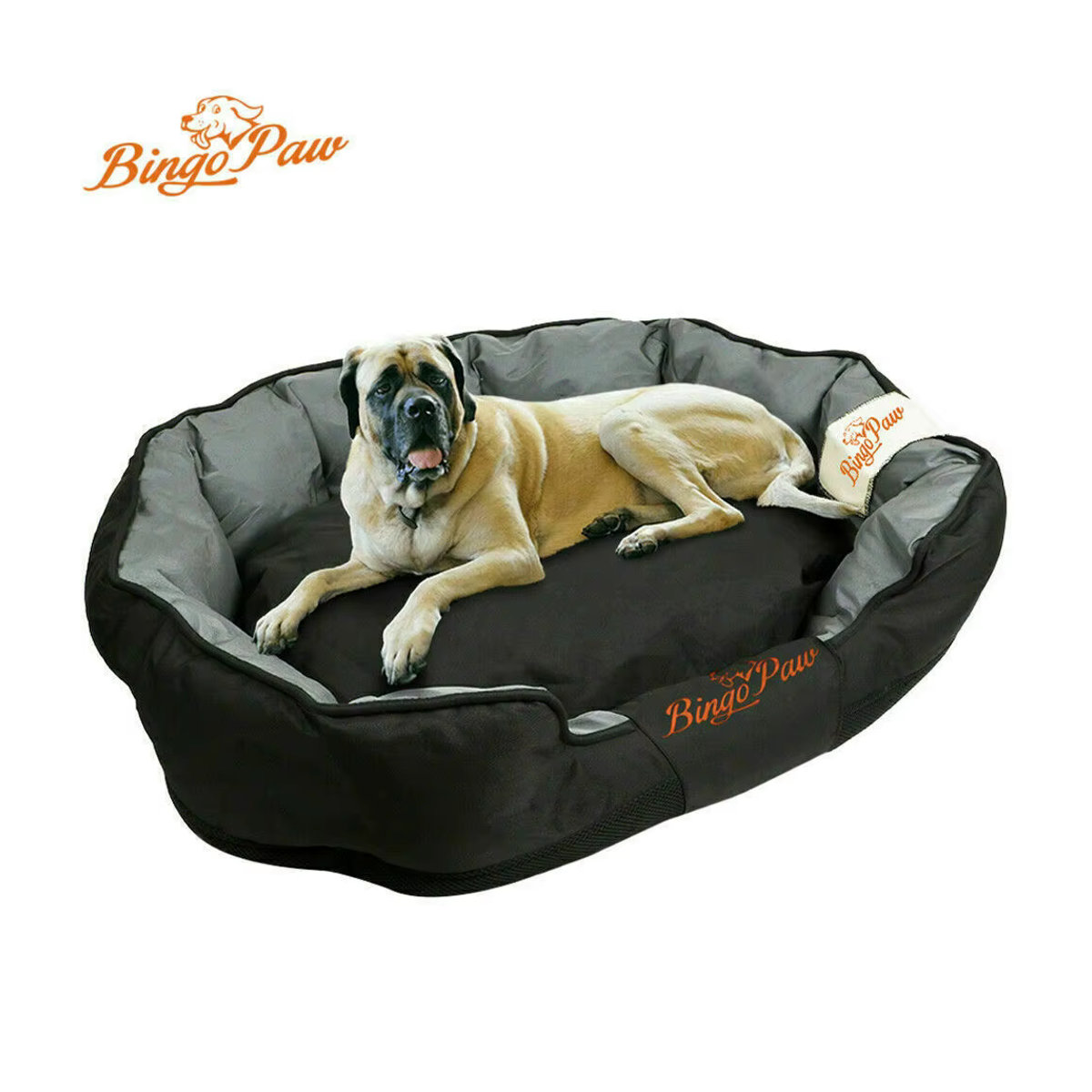 BINGOPAW Orthopädisches Hundebett XXL in Schwarz, wasserdicht und waschbar - Bild 3