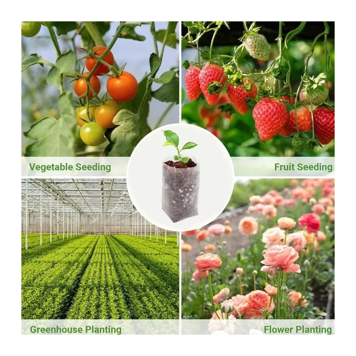 Biologisch abbaubare Vlies-Pflanztaschen für Sämlinge und Gemüse zur Anzucht von Blumen und Pflanzen - Bild 6