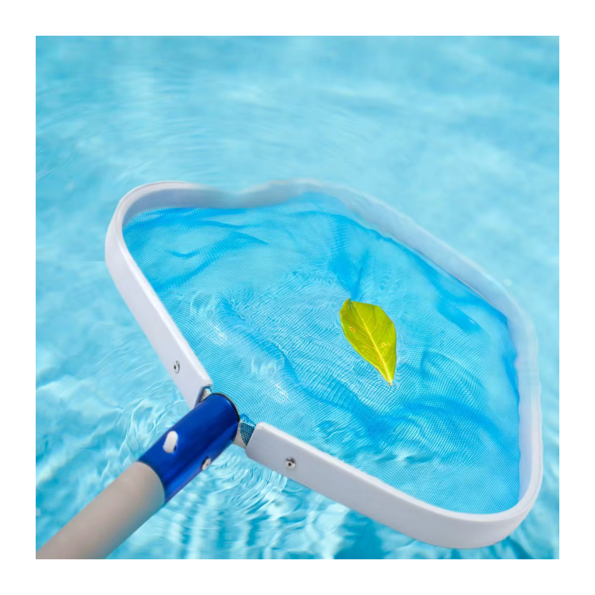 Blaues Schwimmbad-Blatt-Skimmer-Netz mit robustem Aluminiumrahmen für Teich und Aquarien - Bild 2