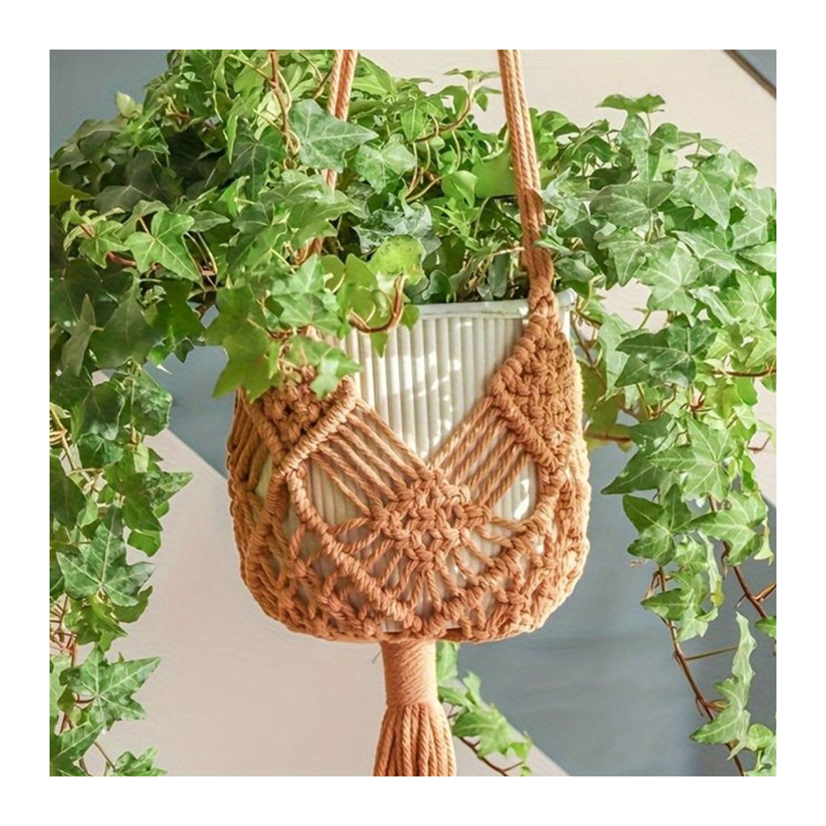 Boho-Pflanzenaufhänger aus Baumwollseil in Beige zum Aufhängen von Sukkulenten für drinnen und draußen - Bild 1