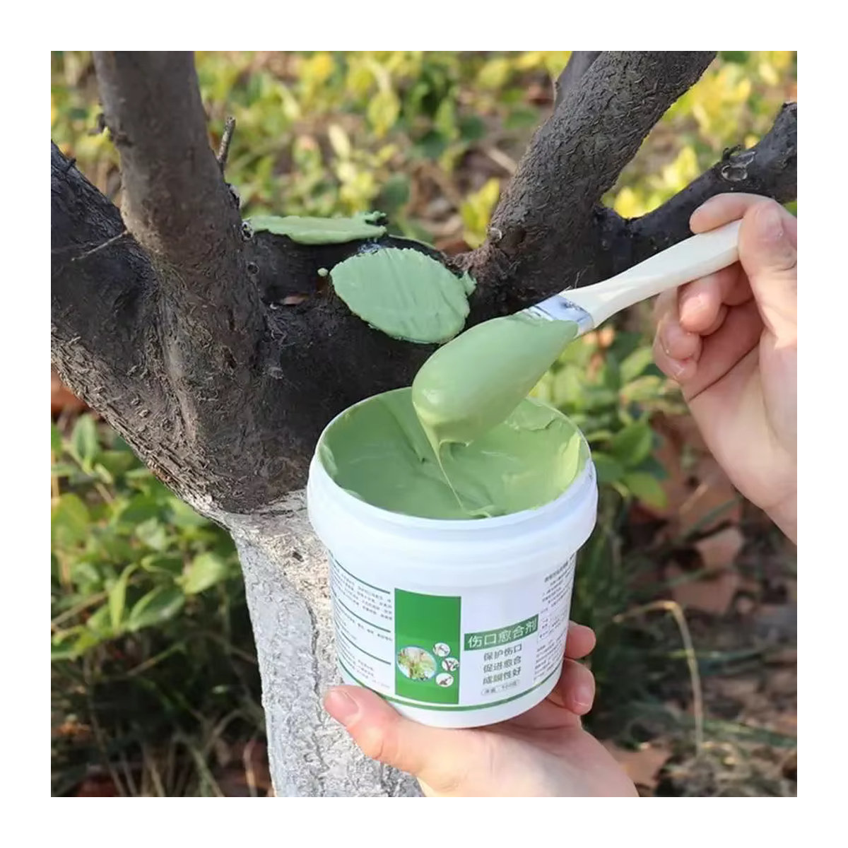 Bonsai Cut Paste Baumwunden-Reparaturpaste zur Wundheilung und Versiegelung von Schnittstellen und Pfropfungen - Bild 2