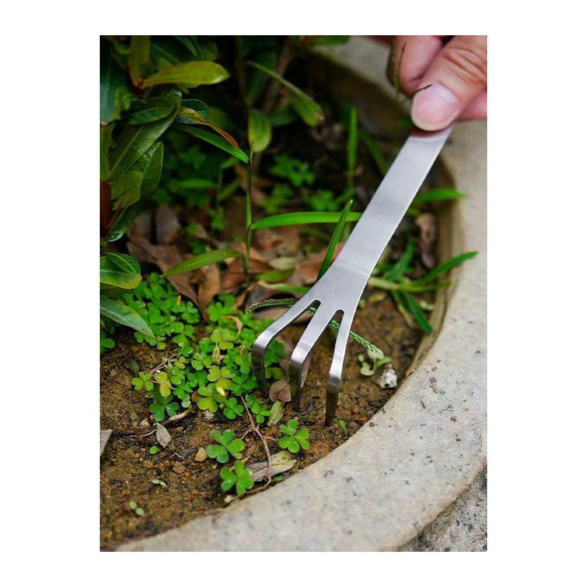 Bonsai-Rechen aus Edelstahl mit ergonomischem Griff und Doppelkopf als multifunktionales Bodenlockerwerkzeug für deinen Garten - Bild 7