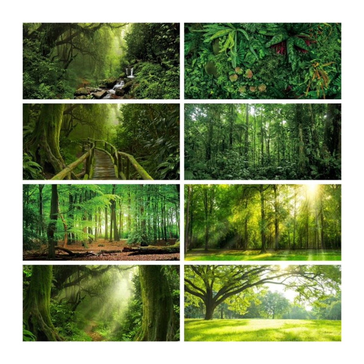 Bonvvie Fotohintergrund Frühlingswald in Grün, rechteckiger Tropischer Dschungel-Regenwald-Hintergrund für Fotografie und Abenteuer - Bild 1