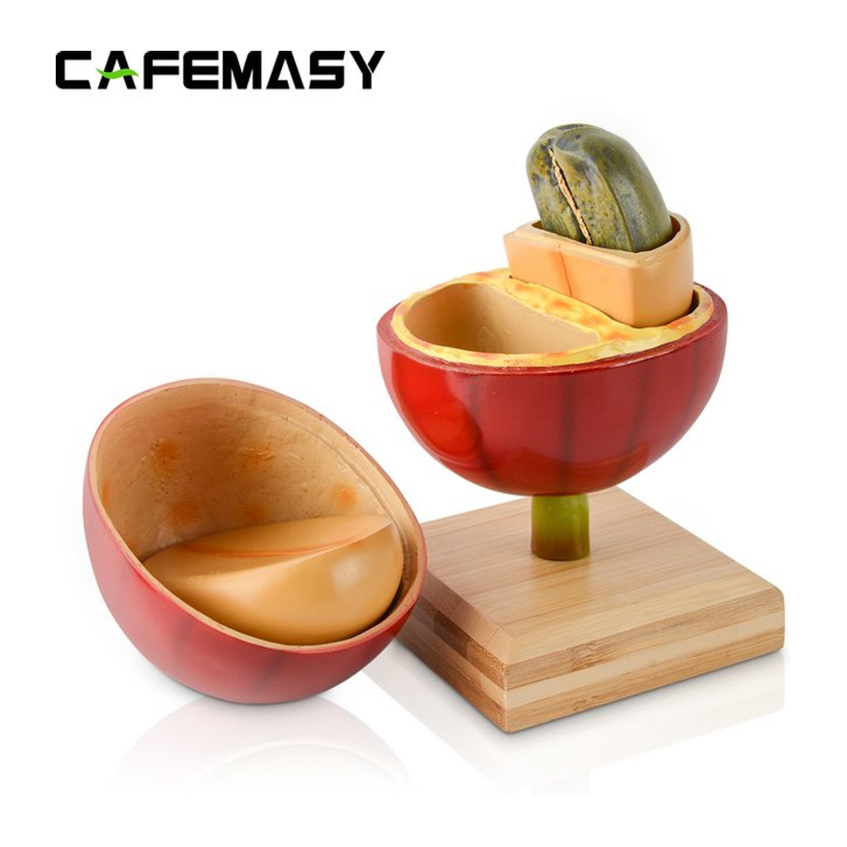 CAFEMASY Künstliche Kaffeebohnen Dekoration in Rot mit Holzbasis als Lehrmodell oder Pflanzenbaum für deine Kaffeebar - Bild 1