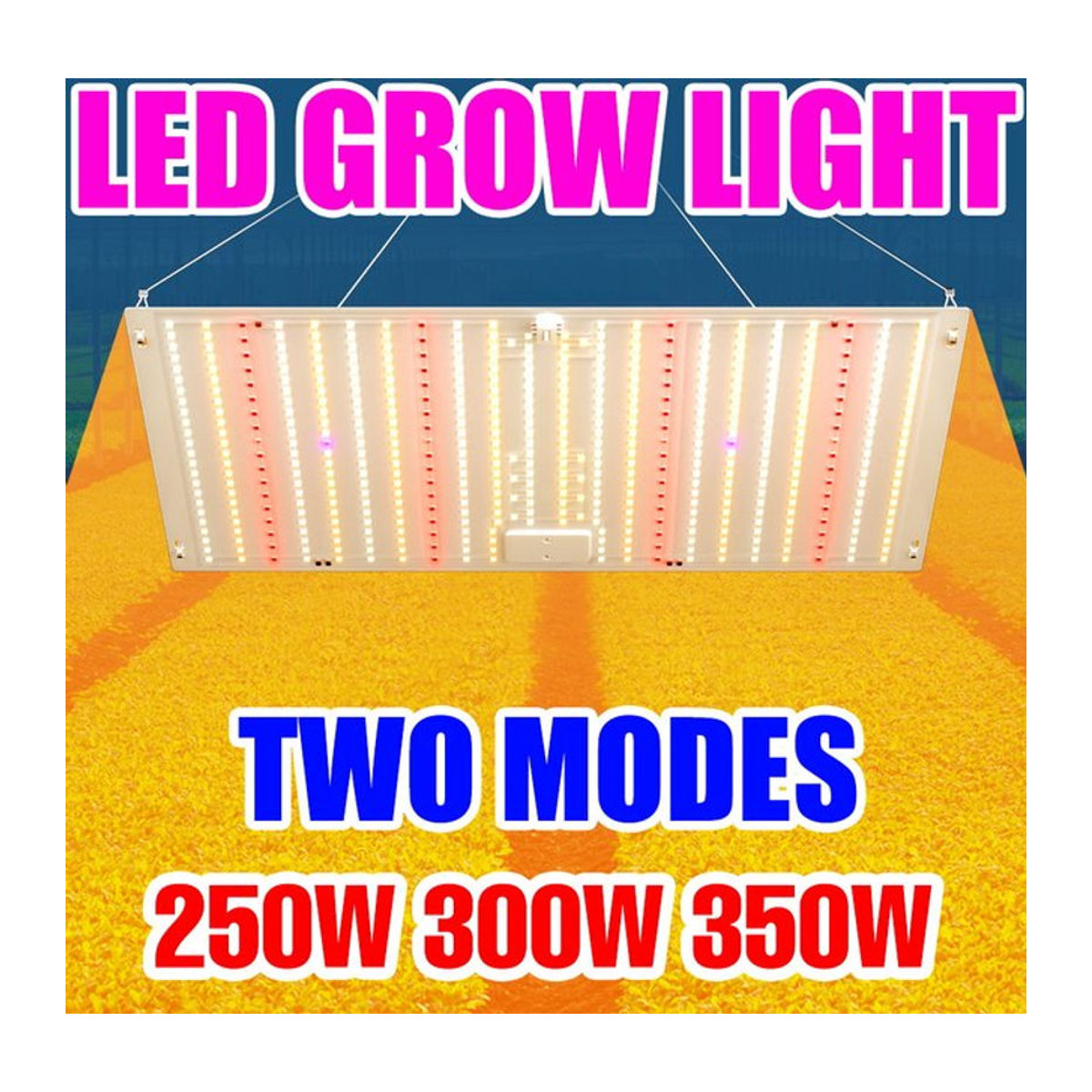 CanLing 350W Vollspektrum LED-Wachstumslampe Quantum-Board für Hydrokultur und Pflanzenzelt zur Kultivierung von Gemüse und Obst - Bild 1