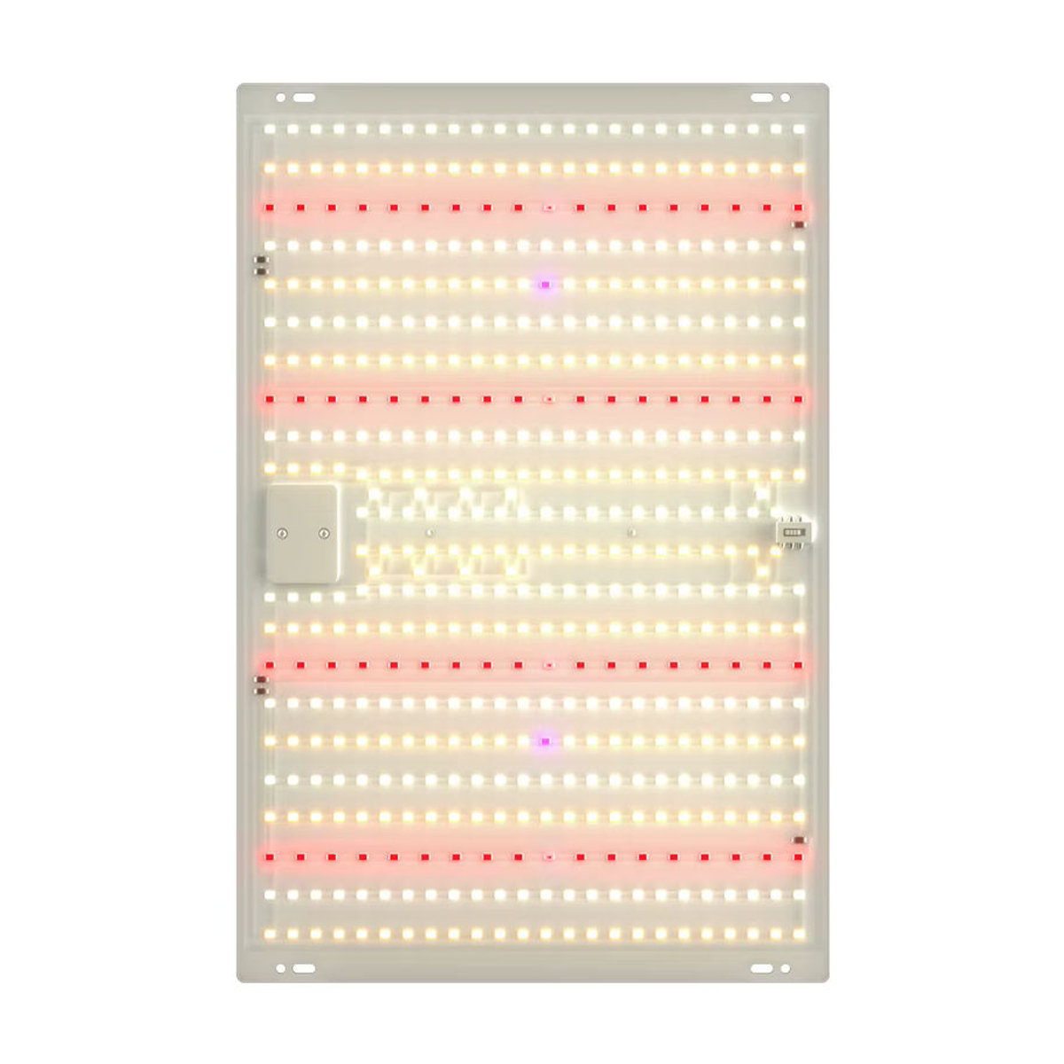 CanLing 350W Vollspektrum LED-Wachstumslampe Quantum-Board für Hydrokultur und Pflanzenzelt zur Kultivierung von Gemüse und Obst - Bild 7