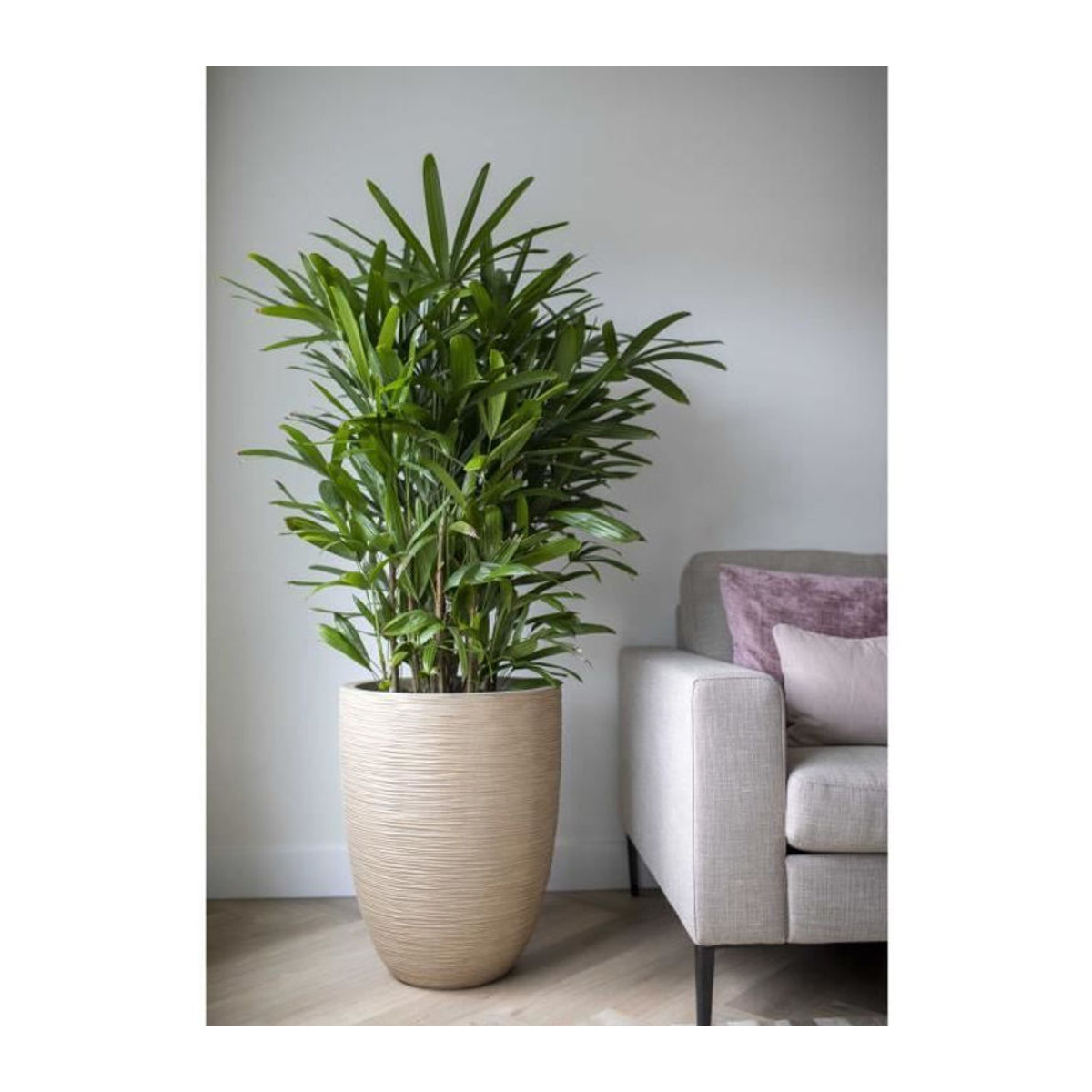 CAPI EUROPE Vase Waste Rib NL in Beige Terrazzo, B: 46 cm, H: 58 cm - Bild 3