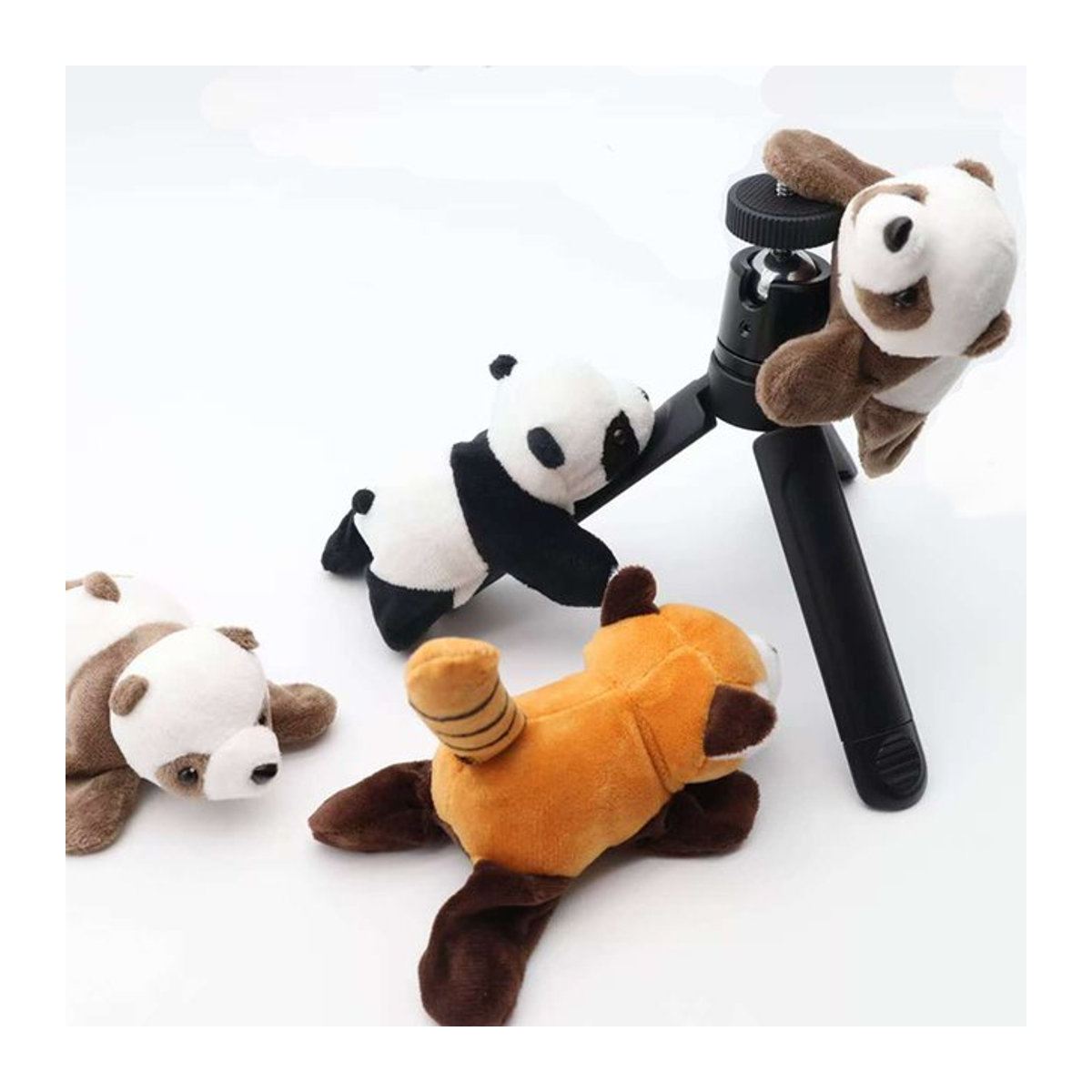 Cartoon Kühlschrankmagnete Panda und Waschbär als magnetische Aufkleberhaken für Fotos und Karten in Schwarz und Mehrfarbig - Bild 1