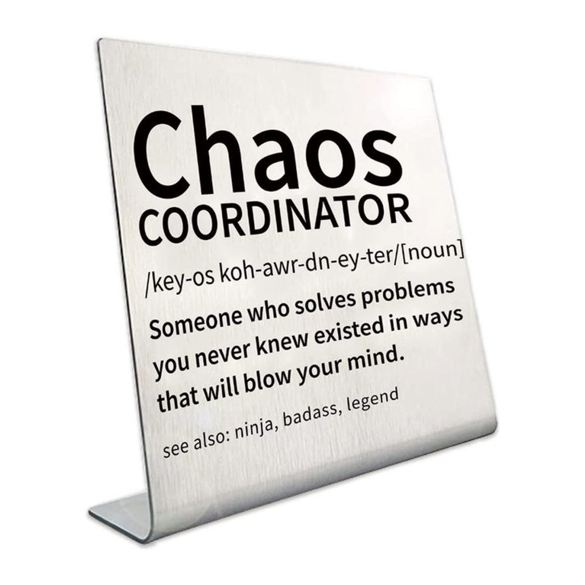 Chaos-Koordinator Schreibtisch-Schild aus Metall in Silber, minimalistische Büro-Dekoration für Damen - Bild 1