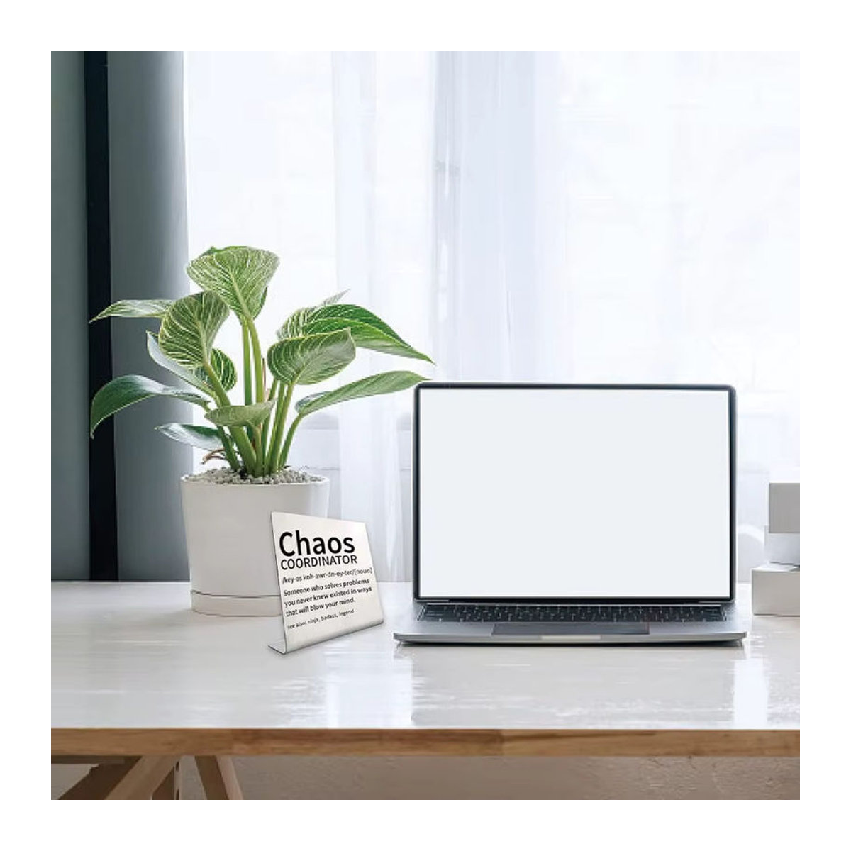 Chaos-Koordinator Schreibtisch-Schild aus Metall in Silber, minimalistische Büro-Dekoration für Damen - Bild 5