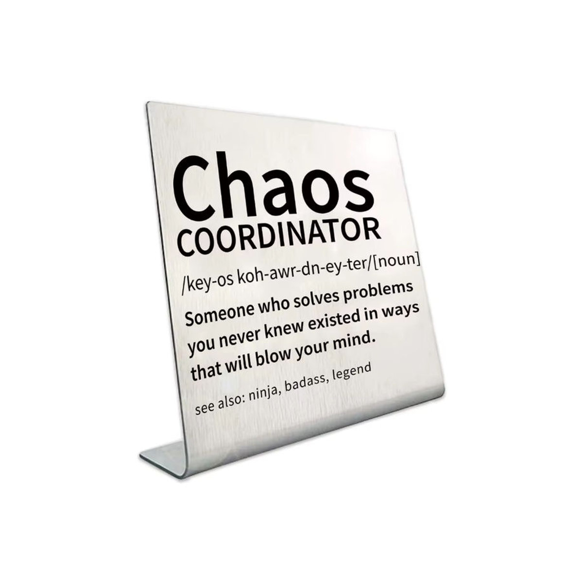 Chaos-Koordinator Schreibtisch-Schild aus Metall in Silber, minimalistische Büro-Dekoration für Damen - Bild 7