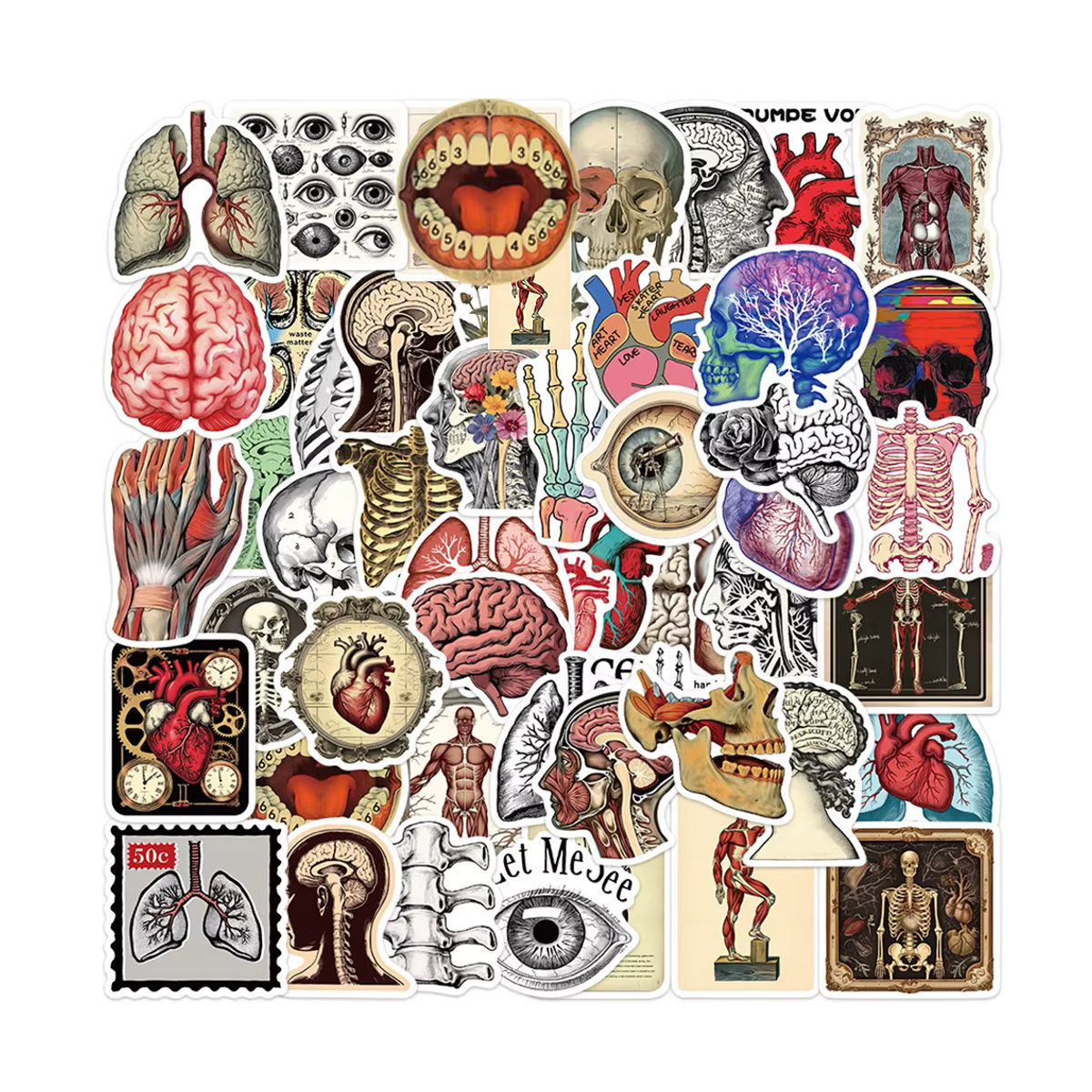 Charile Retro Anatomie Organe Aufkleber Set, Mehrfarbige Cartoon Körperstruktur Aufkleber aus Papier für Scrapbooking und Notebooks - Bild 2