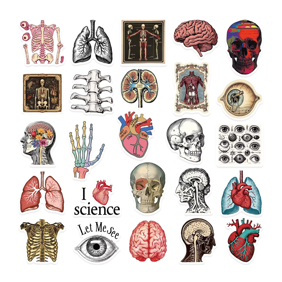 Charile Retro Anatomie Organe Aufkleber Set, Mehrfarbige Cartoon Körperstruktur Aufkleber aus Papier für Scrapbooking und Notebooks - Bild 6