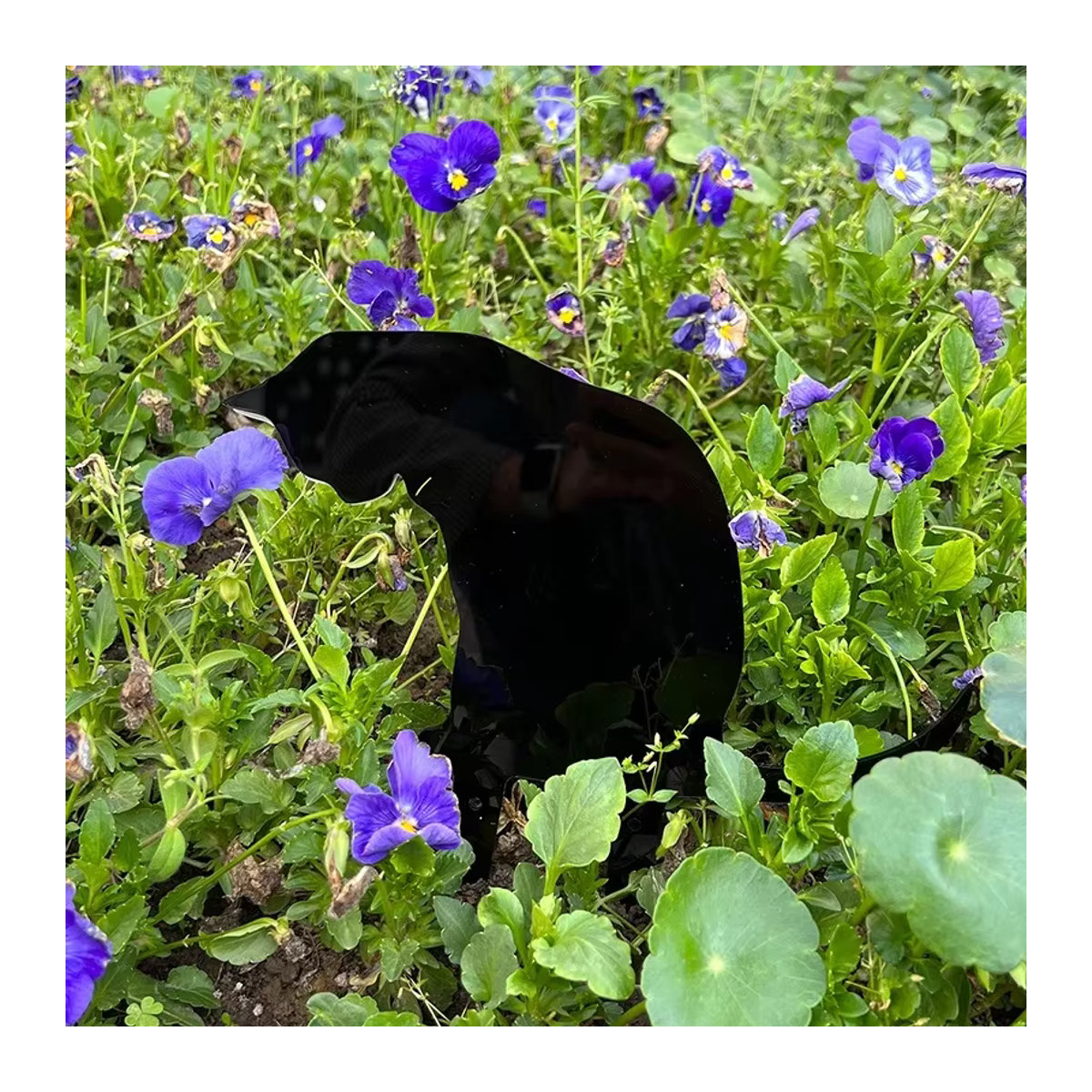 Cifbuy Dekorative Metall Katze Silhouette in Schwarz als Gartenpfahl für Hof, Rasen und Terrasse - Bild 3