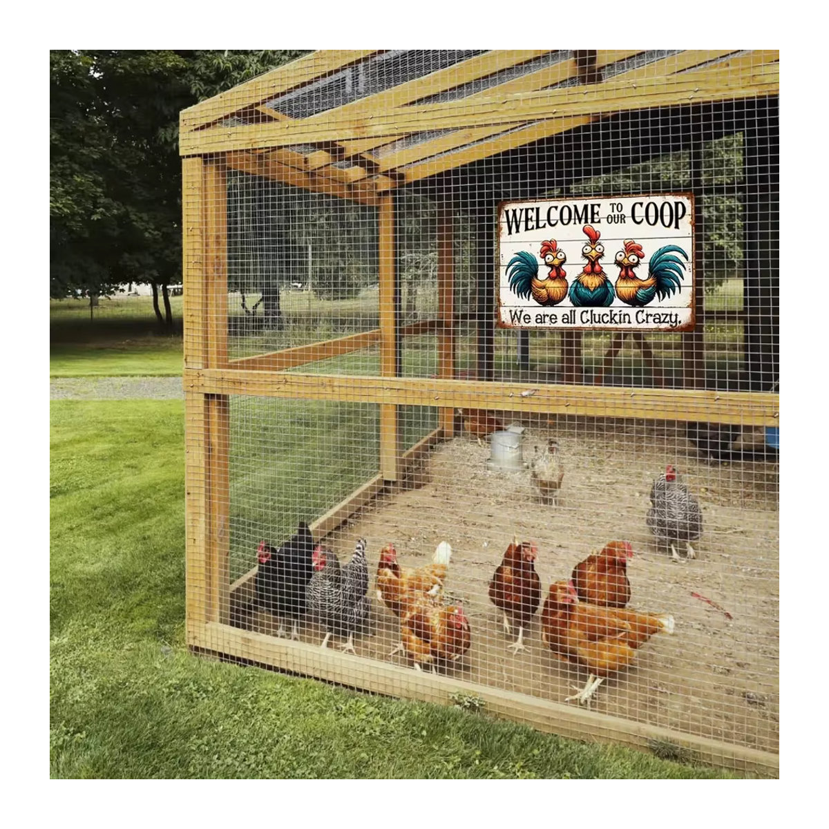 CIFBUY Metall Wanddeko Hühnerstall Bauernhaus Dekor Bunt, Breite: 30,48 cm, Höhe: 20,32 cm - Bild 4