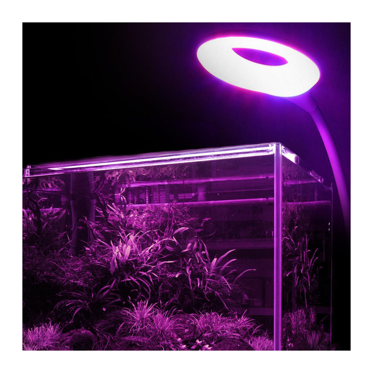 CosyHome USB LED Pflanzenwachstumslampe in Weiß für Aquarium und Wasserpflanzen mit 3W Leistung - Bild 6