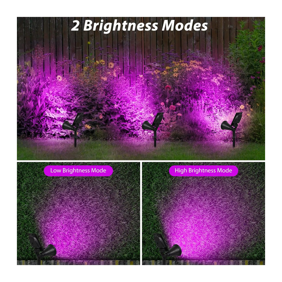 Crepow Solarleuchte mit 4 LED für Garten und Outdoor, Schwarz, IP65 wasserdicht - Bild 4