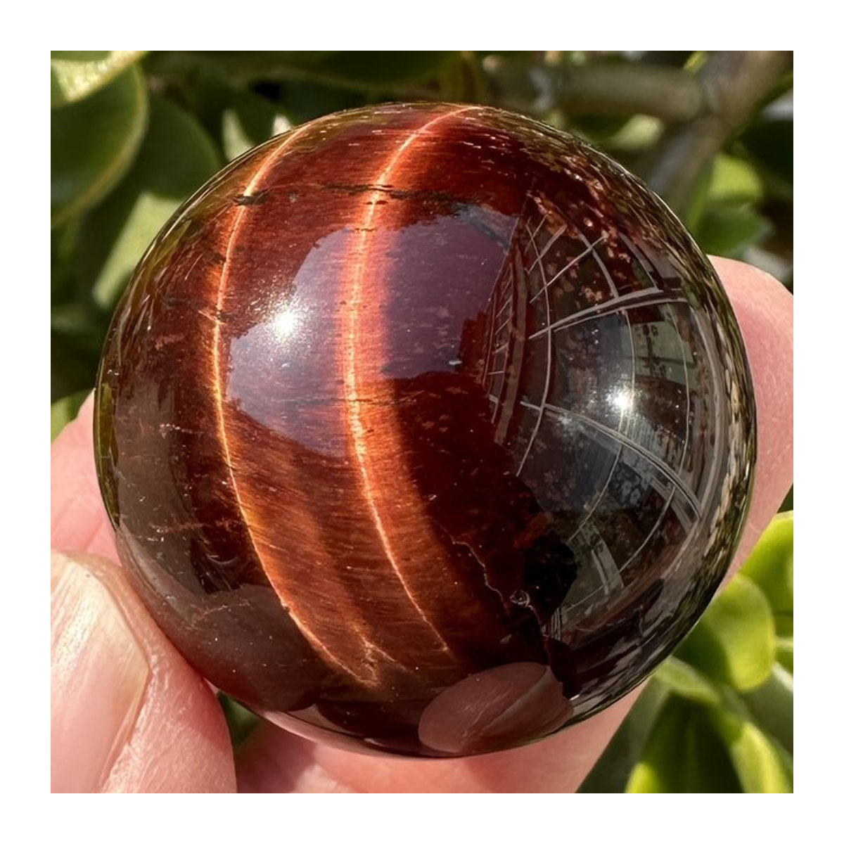CrystalHola rote Tigerauge-Kristallkugel aus Stein, runde Dekoration mit rotem Halo für dein Heim oder Büro - Bild 1