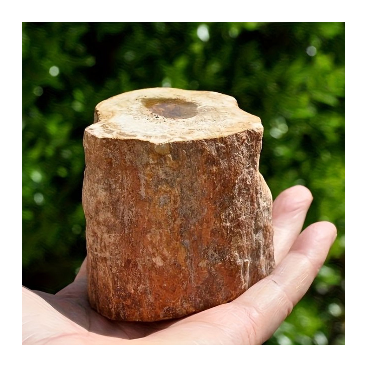 CrystalHola Versteinertes Holz Naturstein-Mineralprobe in Braun im Bohemian-Stil - Bild 1