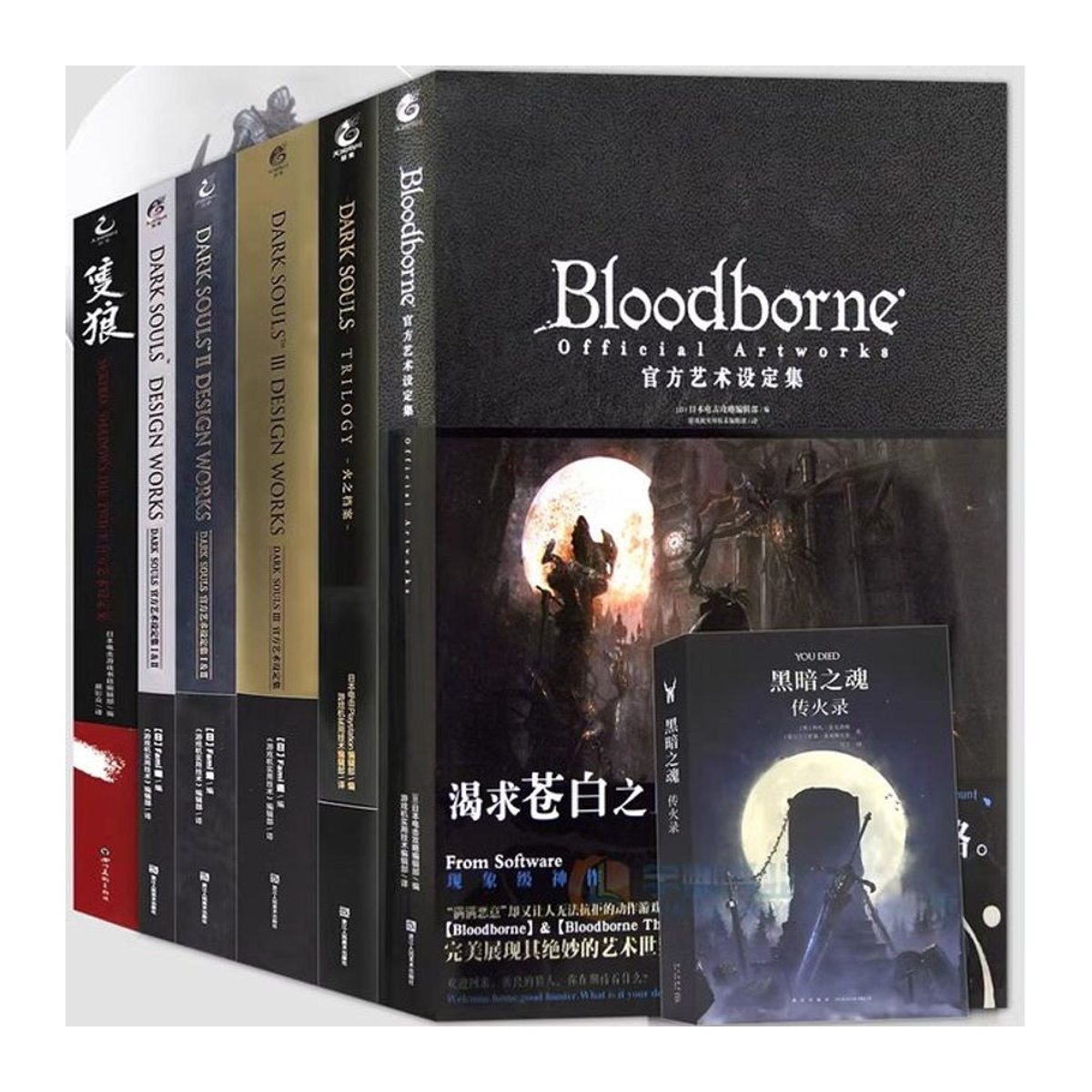 Dark Souls Trilogie, Bloodborne und Anime Kollektion Kunstbuch in Schwarz - Bild 1