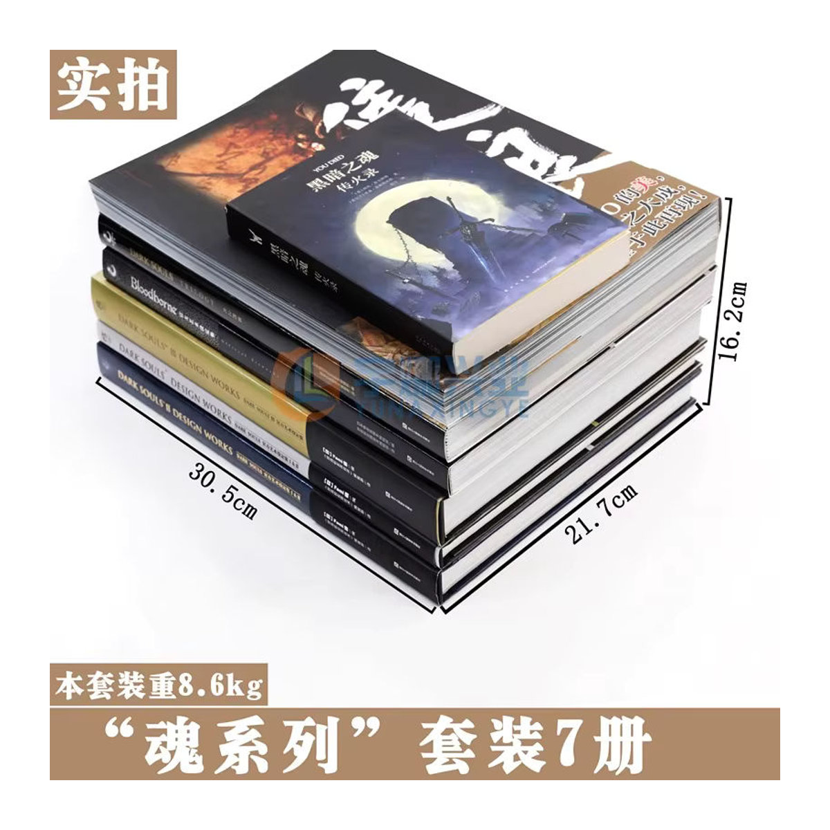 Dark Souls Trilogie, Bloodborne und Anime Kollektion Kunstbuch in Schwarz - Bild 3