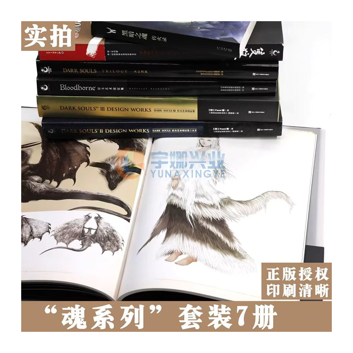 Dark Souls Trilogie, Bloodborne und Anime Kollektion Kunstbuch in Schwarz - Bild 4