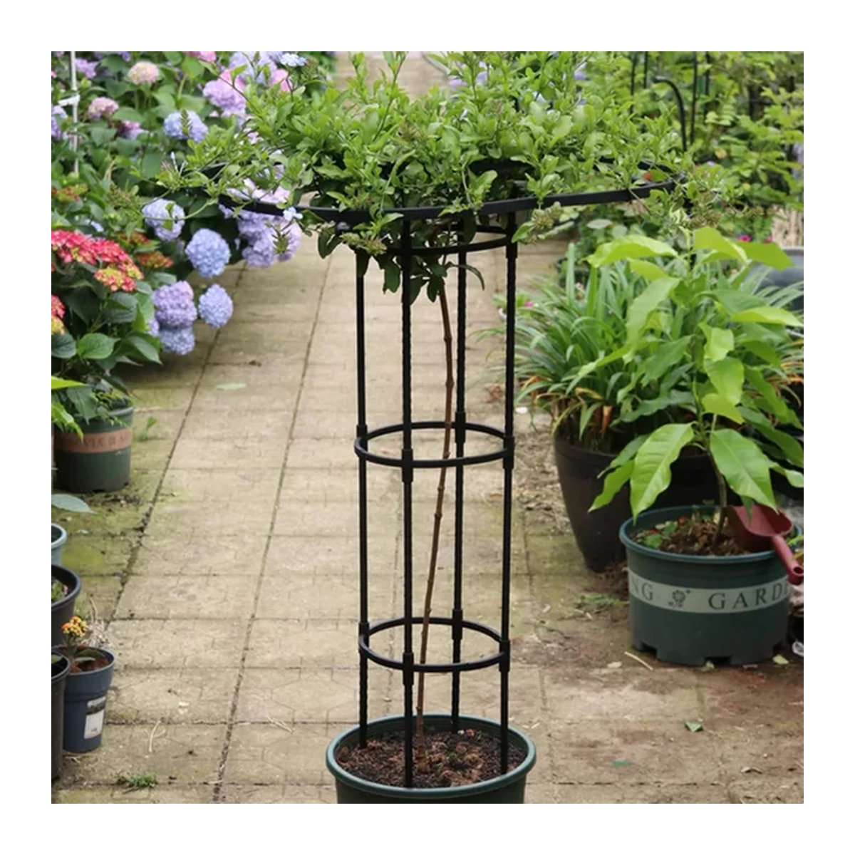 Dekoratives Garten-Obelisk-Spalier aus Metall in Schwarz als Turmrahmen für vertikale Kletterpflanzen - Bild 1