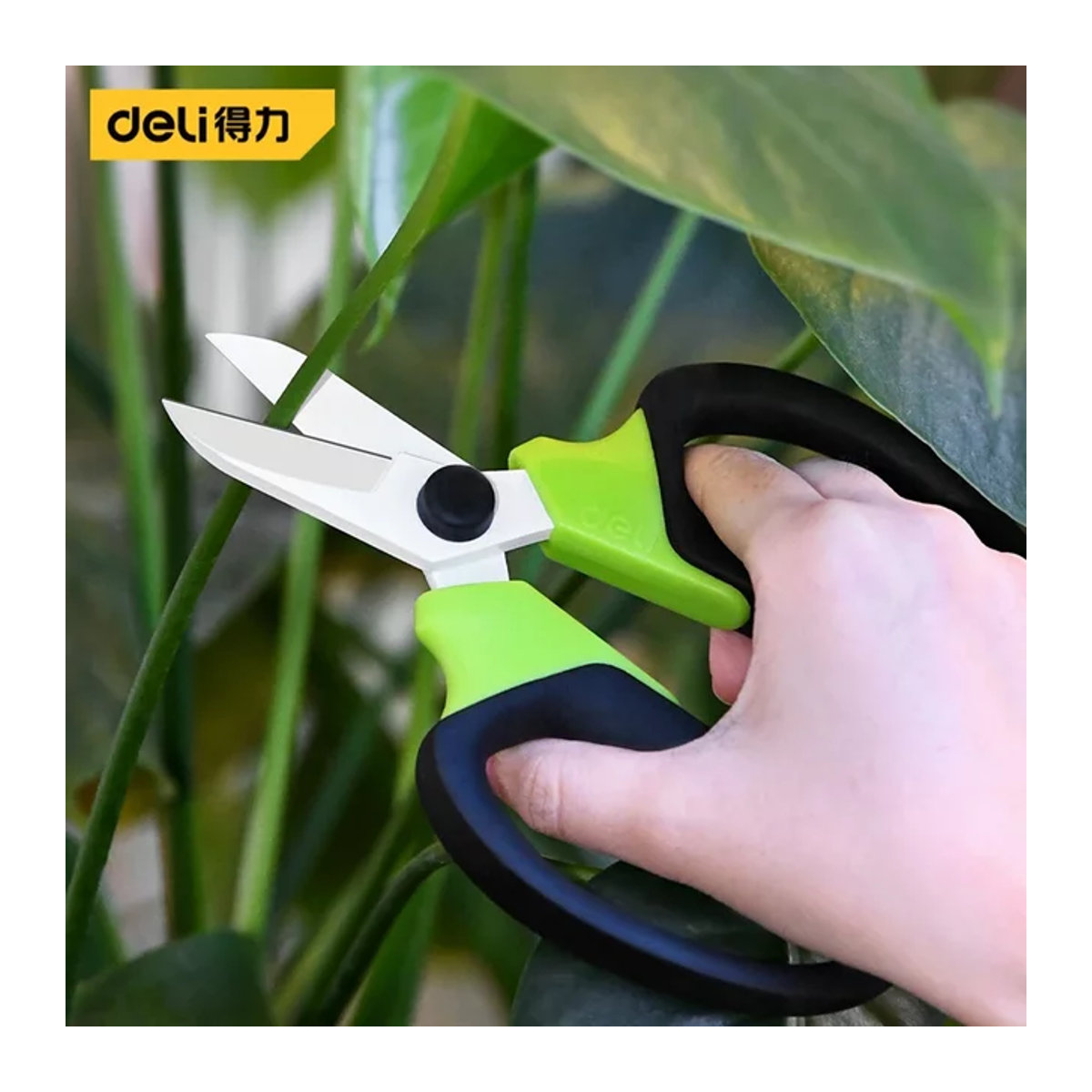 Deli Profi-Blumenschere mit rutschfestem Griff für Bonsai und Gartenarbeit, 7 Zoll - Bild 1