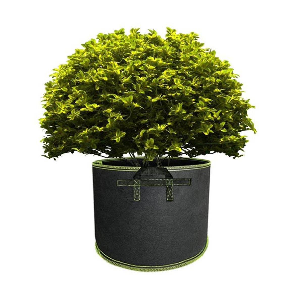 DHDH Pflanzbeutel aus Vlies in Schwarz mit Griffen für Gemüse und Blumen, B/H/T: 20 x 20 cm - Bild 5