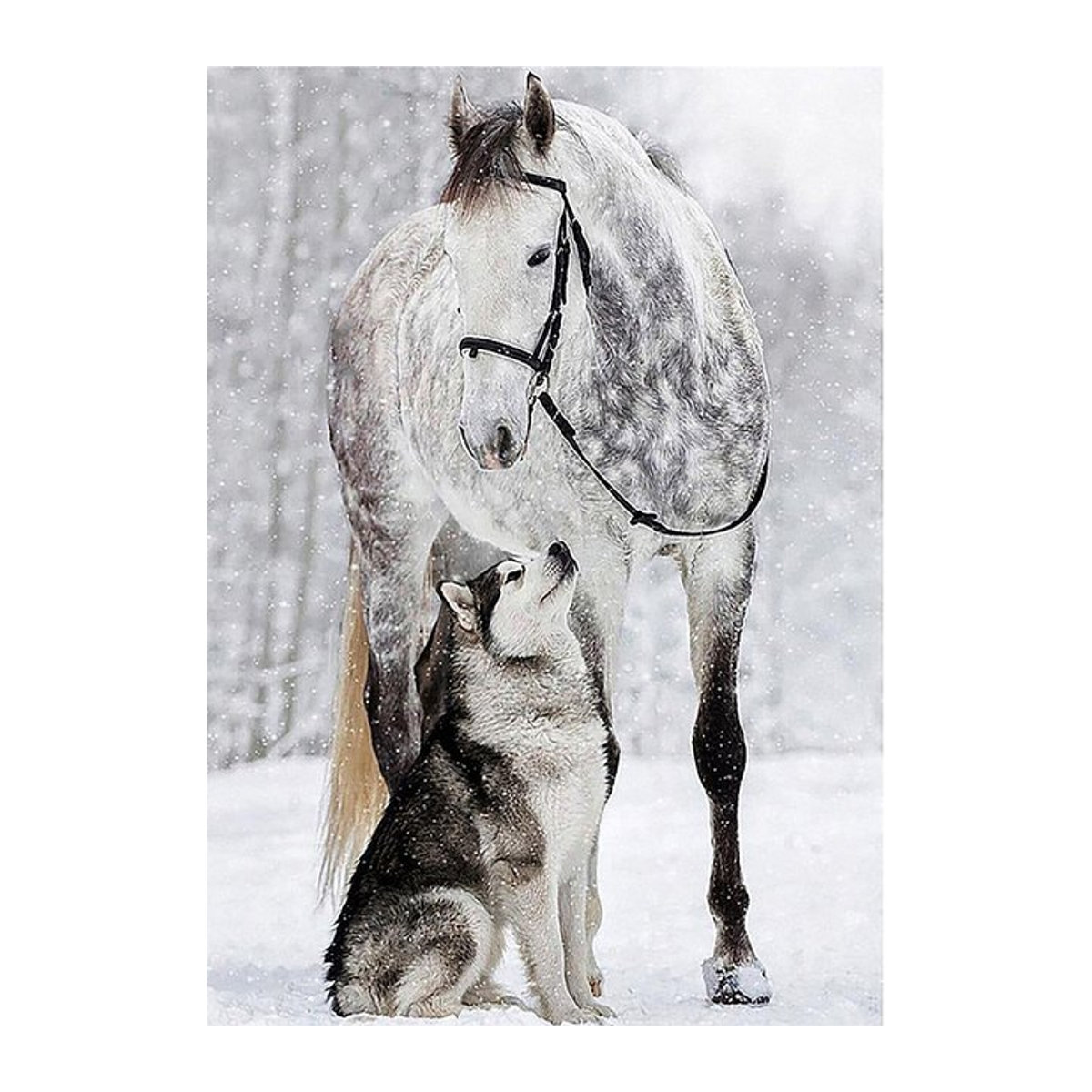 Diamond Painting Set Ob_L_92 mit Tier-Motiven Pferd und Hund in Weiß, B/H: 30 x 40 cm - Bild 1