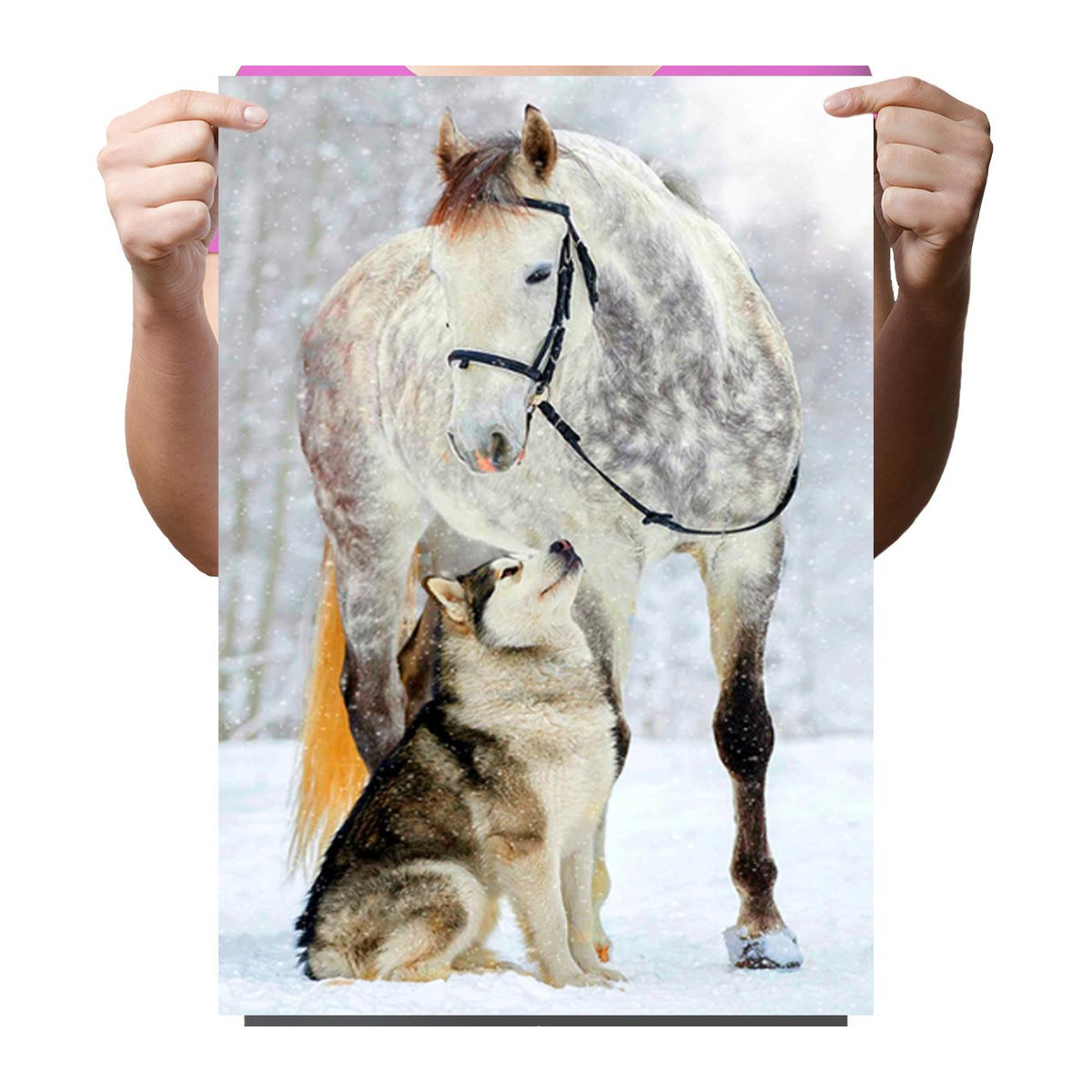 Diamond Painting Set Ob_L_92 mit Tier-Motiven Pferd und Hund in Weiß, B/H: 30 x 40 cm - Bild 2