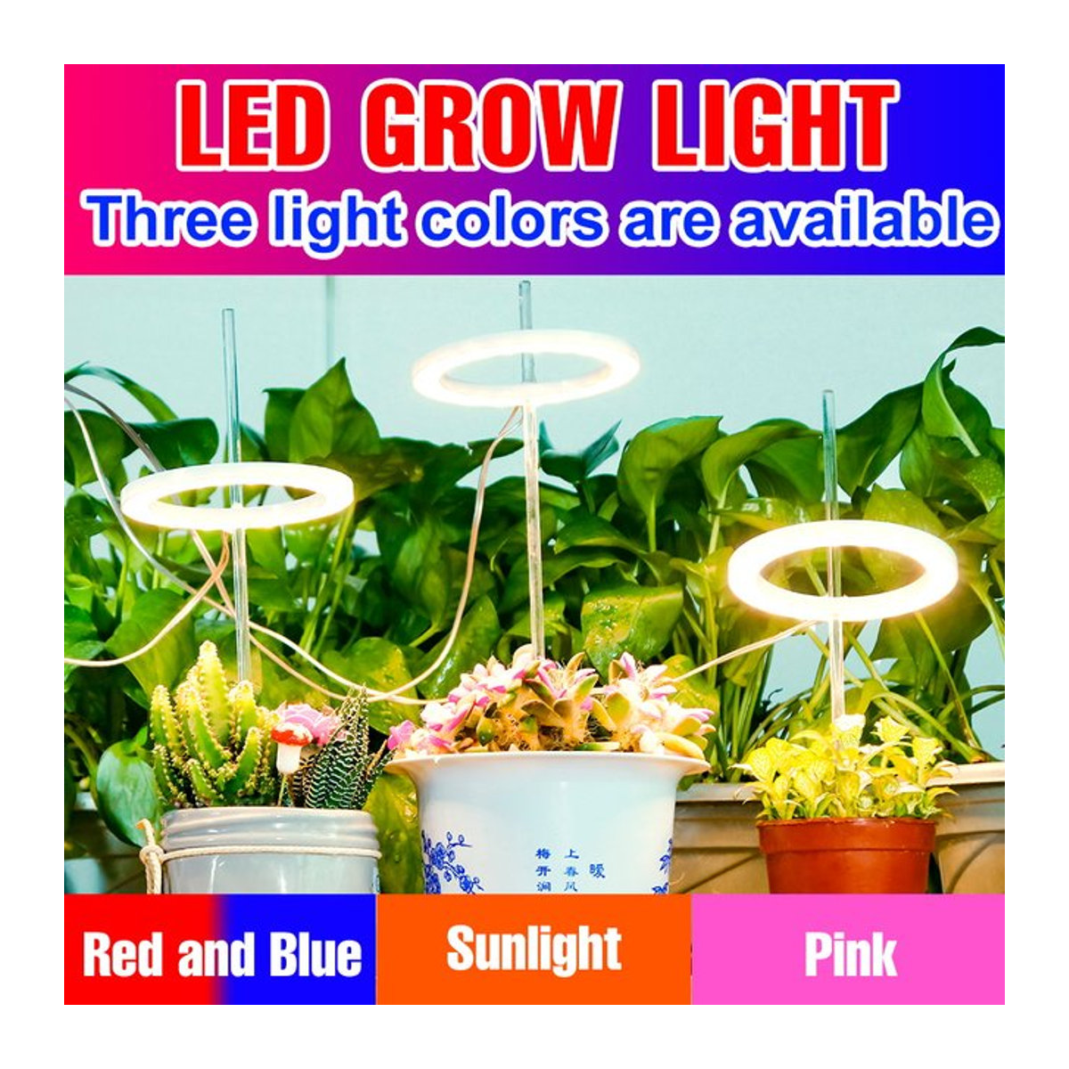 Dimmbares USB DC5V LED Vollspektrum Wachstumslicht mit 24-Stunden-Timer und Topf für Zimmerpflanzen, Sukkulenten und Kakteen - Bild 1