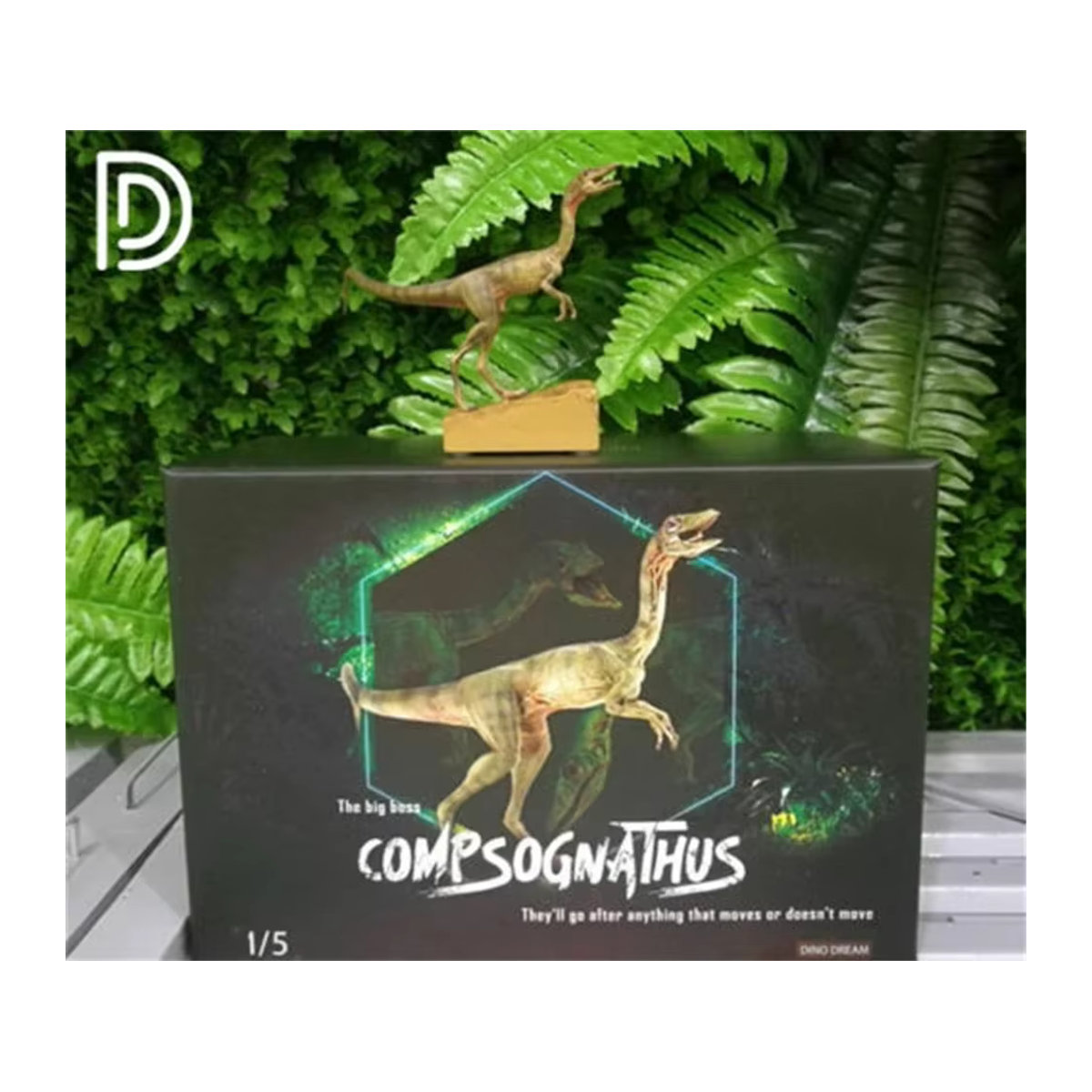 DINO DREAM Compsognathus Coelophysidae Dinosaurier Modell Grün 1:5 - Bild 3