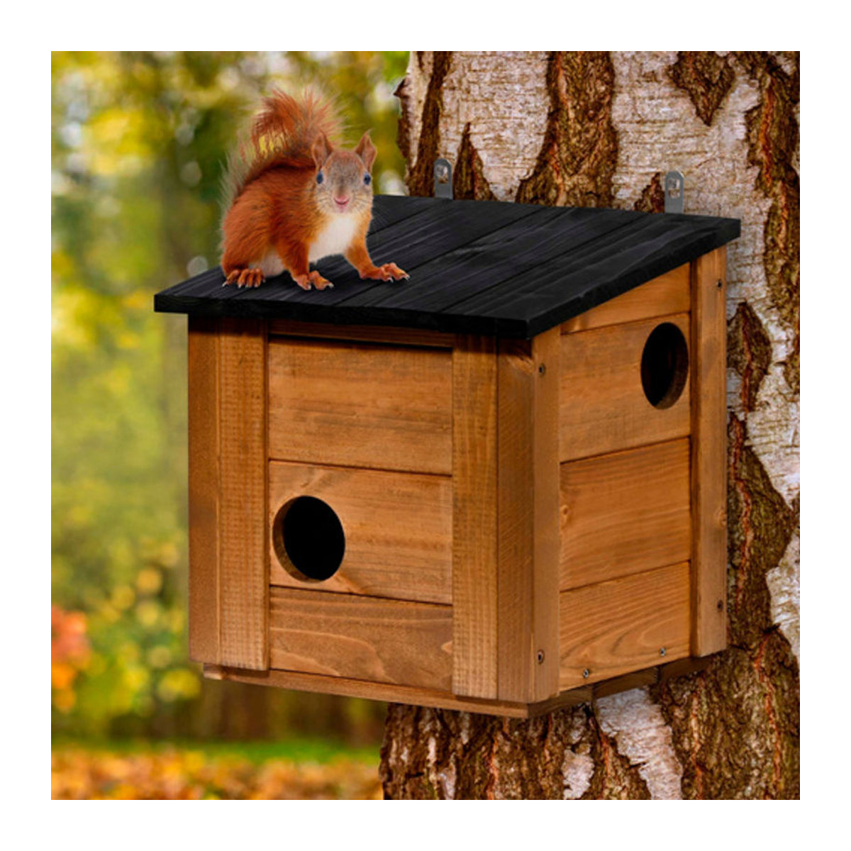Dobar Eichhörnchenkobel Tallinn aus Holz, Braun, B/H/T: 26 x 33 x 31 cm - Bild 3