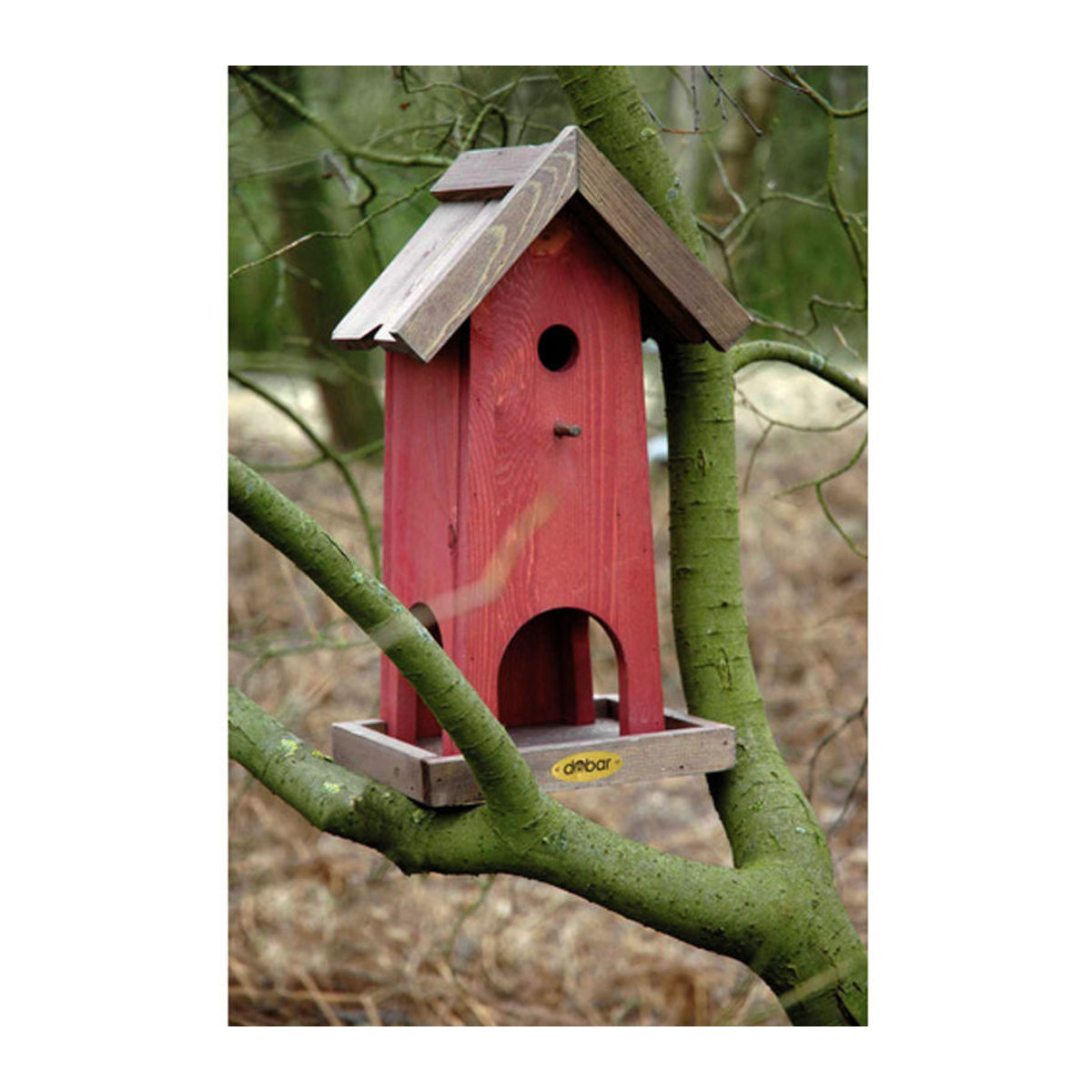 dobar Futterhaus und Nistkasten Kombination aus Kiefernholz in Rot und Braun - Bild 2