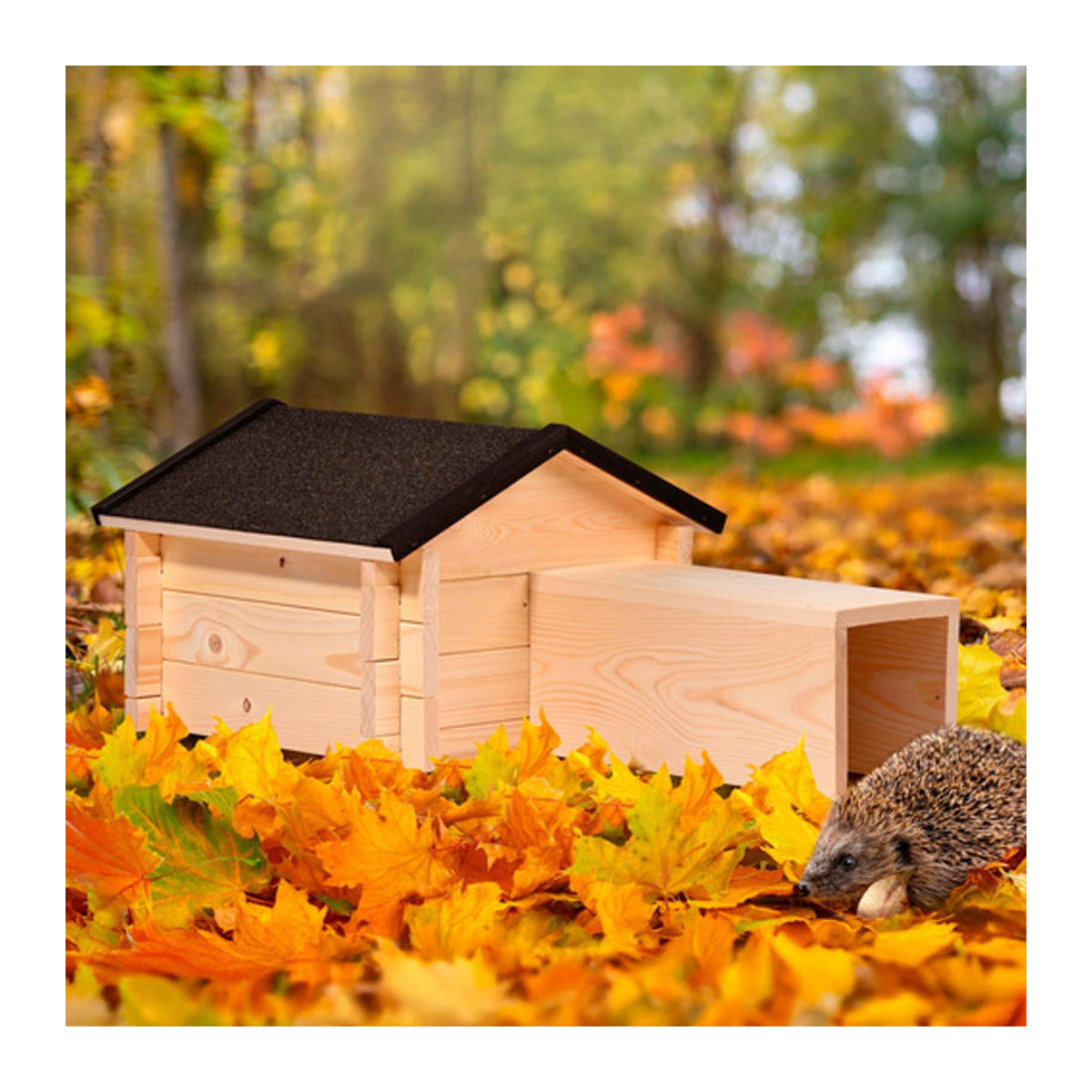 Dobar Igelhaus Tartu aus Holz in Braun, Natur oder Schwarz, B/H/T: 39 x 31 x 70 cm - Bild 3