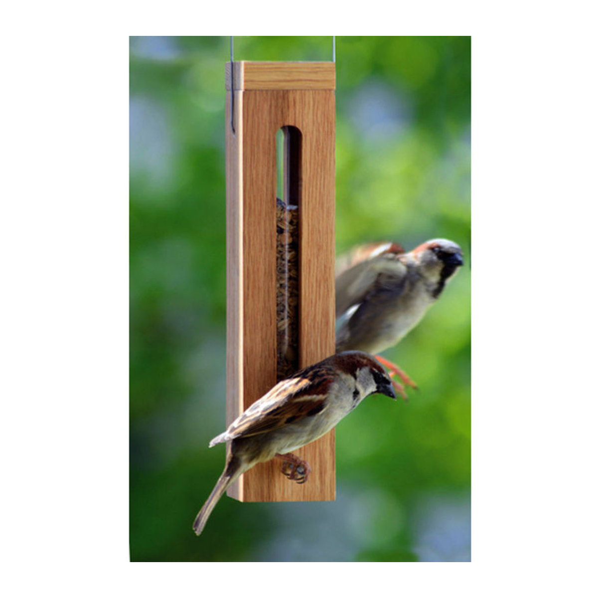 DOBAR Luxus-Vogelhaus aus Eichenholz mit Futtersilo und Metallaufhängung in Braun - Bild 2