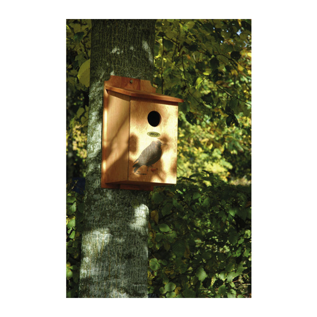 DOBAR Nistkasten aus Kiefernholz in Braun, B/H/T: 20 x 38 x 19 cm - Bild 2