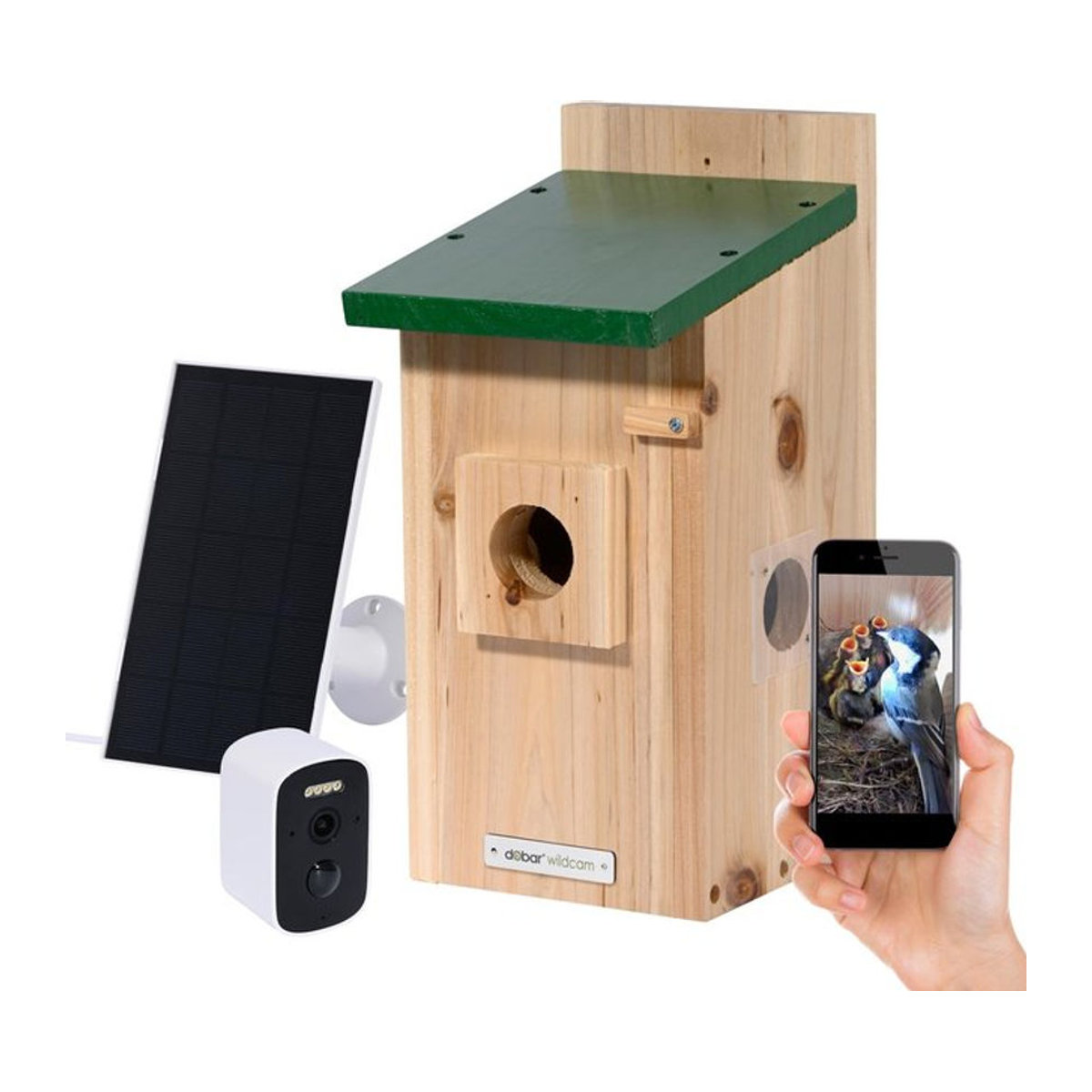 dobar Nistkasten EAZY Flachdach aus Holz mit WiFi Kamera und Solar-Panel, Grün, B/T/H: 20 x 14 x 32 cm - Bild 1