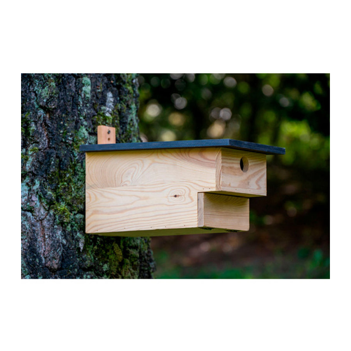 Dobar Nistkasten für Höhlenbrüter aus Kiefernholz in Braun, B/T/H: 37 x 19 x 22 cm - Bild 2