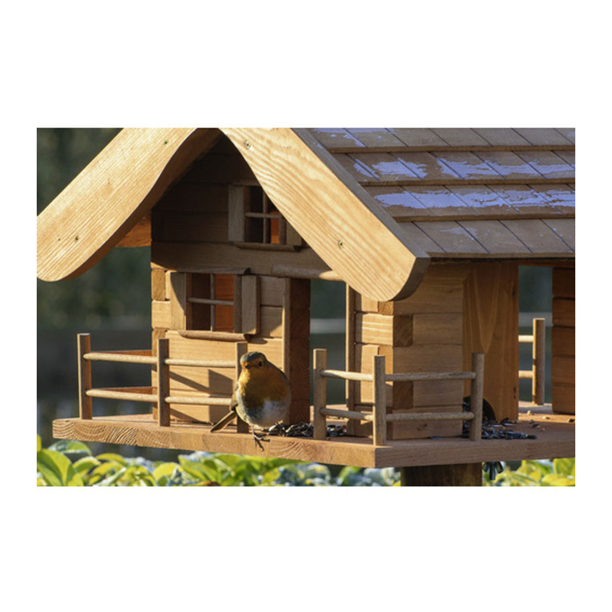 Dobar Vogelfutterhaus Almütte aus Massivholz Kiefer in Braun mit Ständer - Bild 3